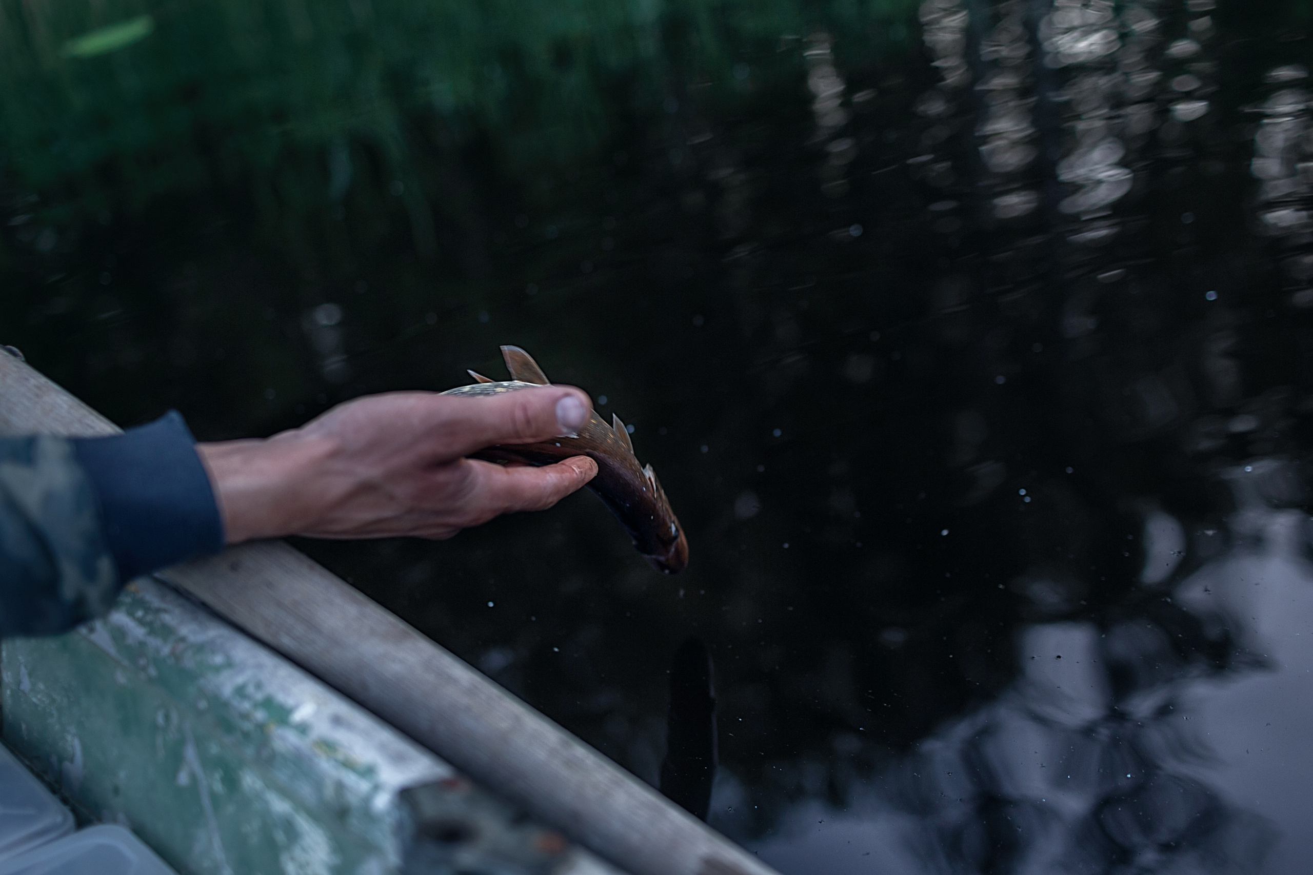 Рыбалка_2023. Семейный фотограф в Санкт-Петербурге