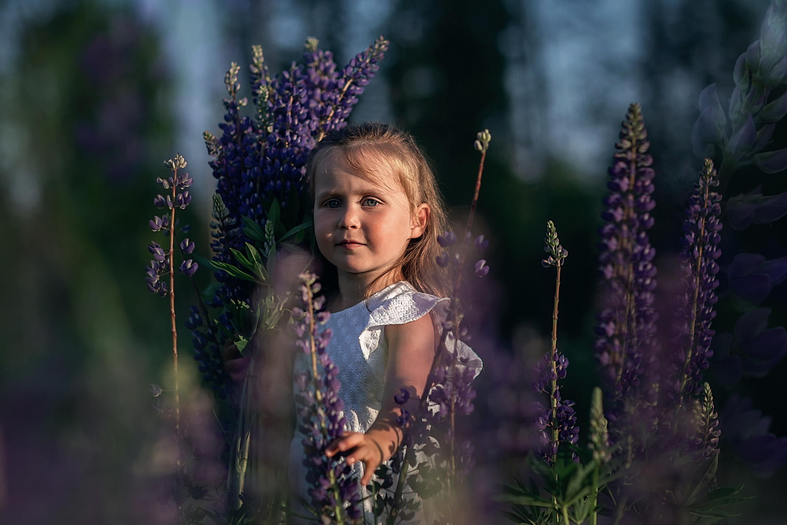 В люпинах_2023. Семейный фотограф в Санкт-Петербурге