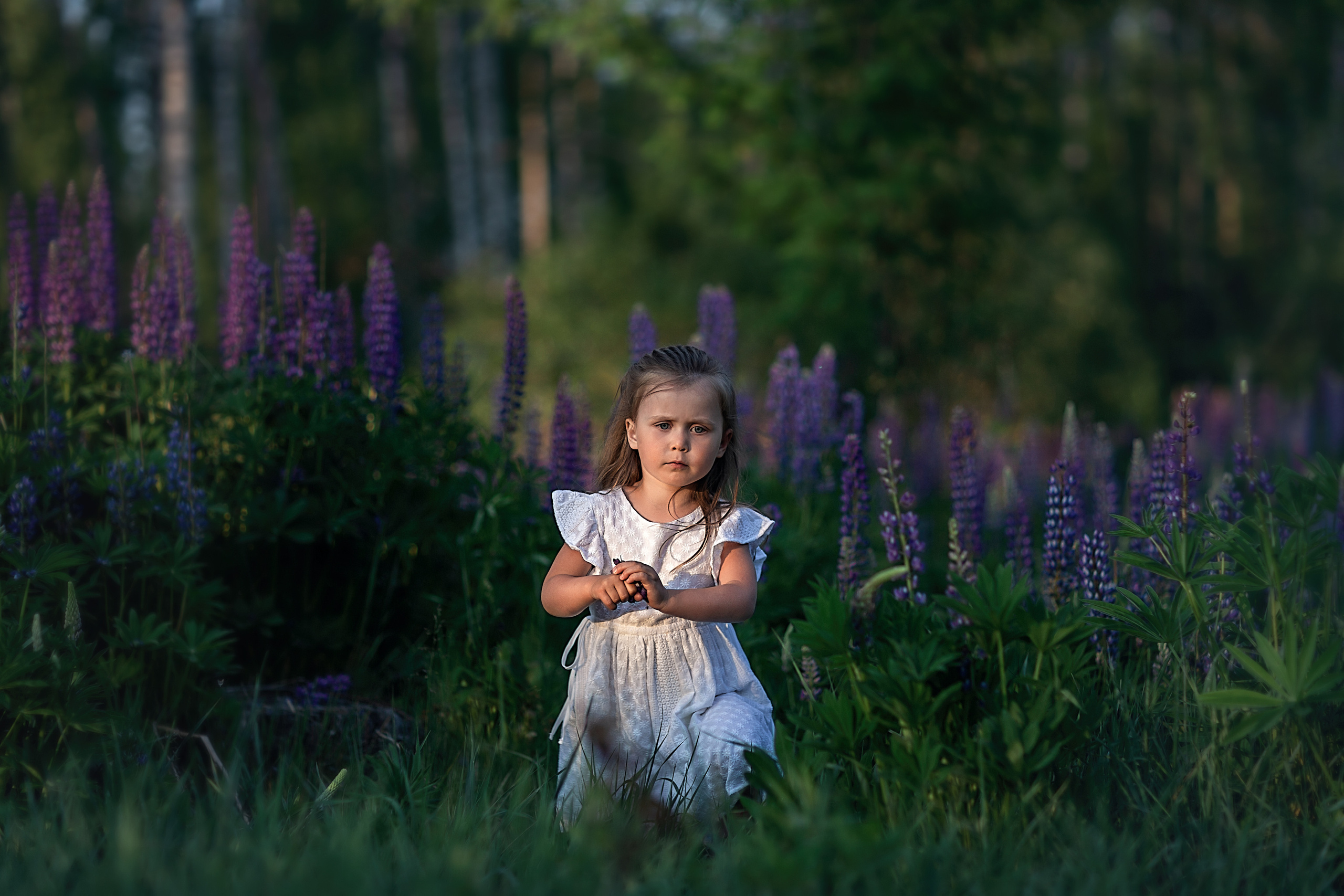 В люпинах_2023. Семейный фотограф в Санкт-Петербурге