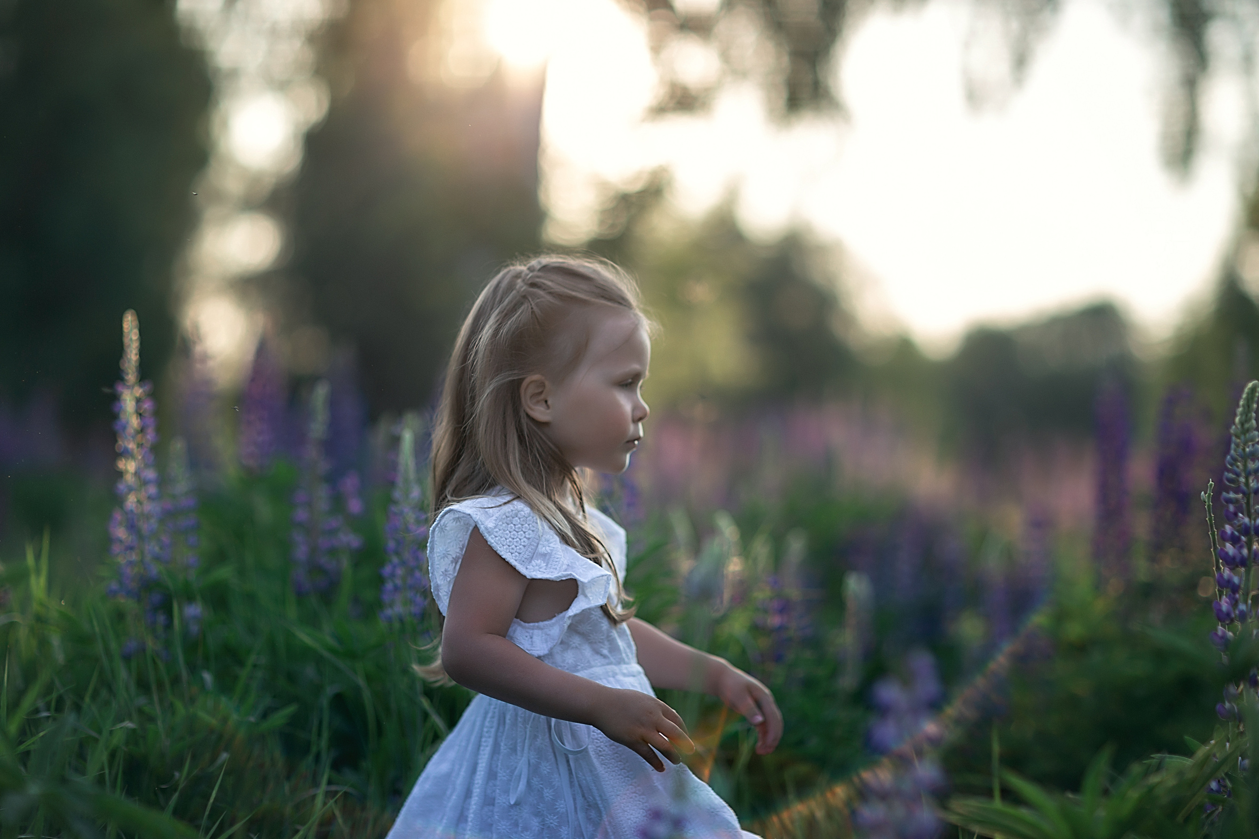 В люпинах_2023. Семейный фотограф в Санкт-Петербурге
