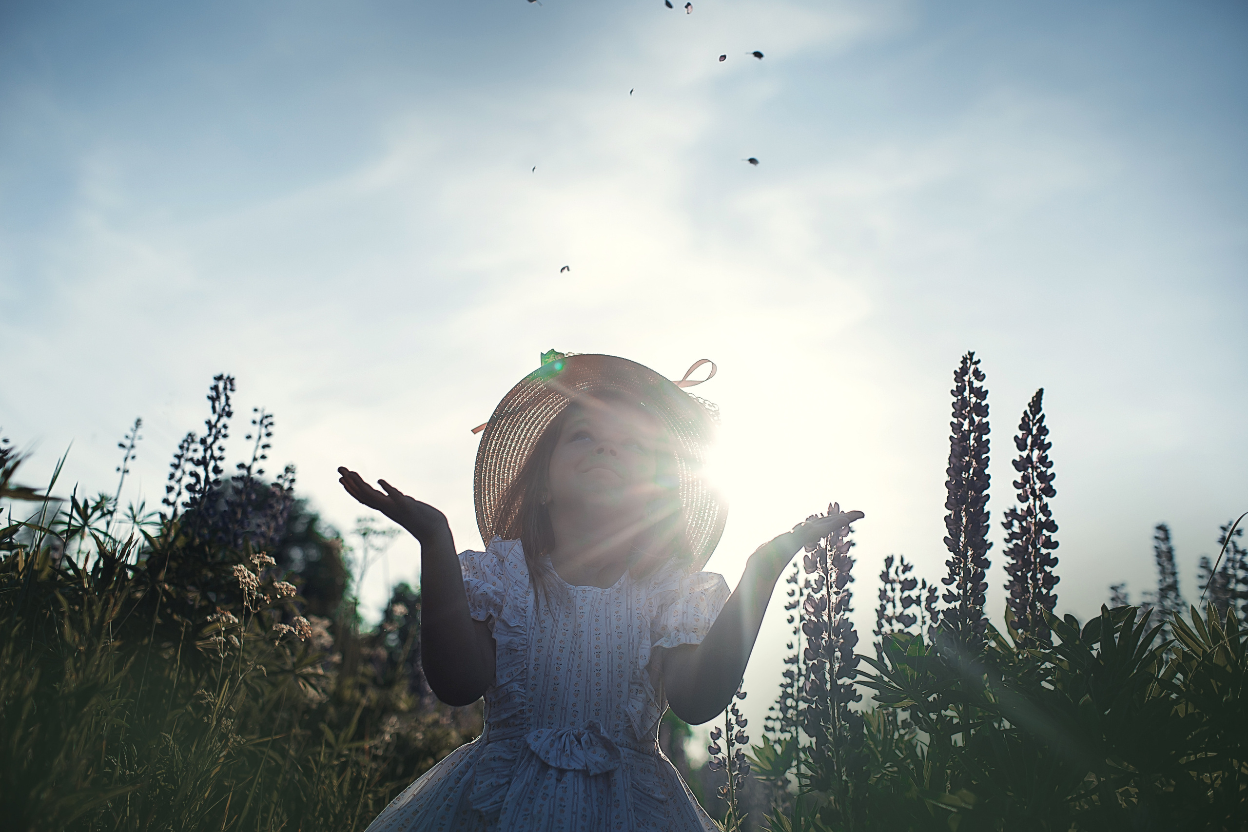 В люпинах_2023. Семейный фотограф в Санкт-Петербурге