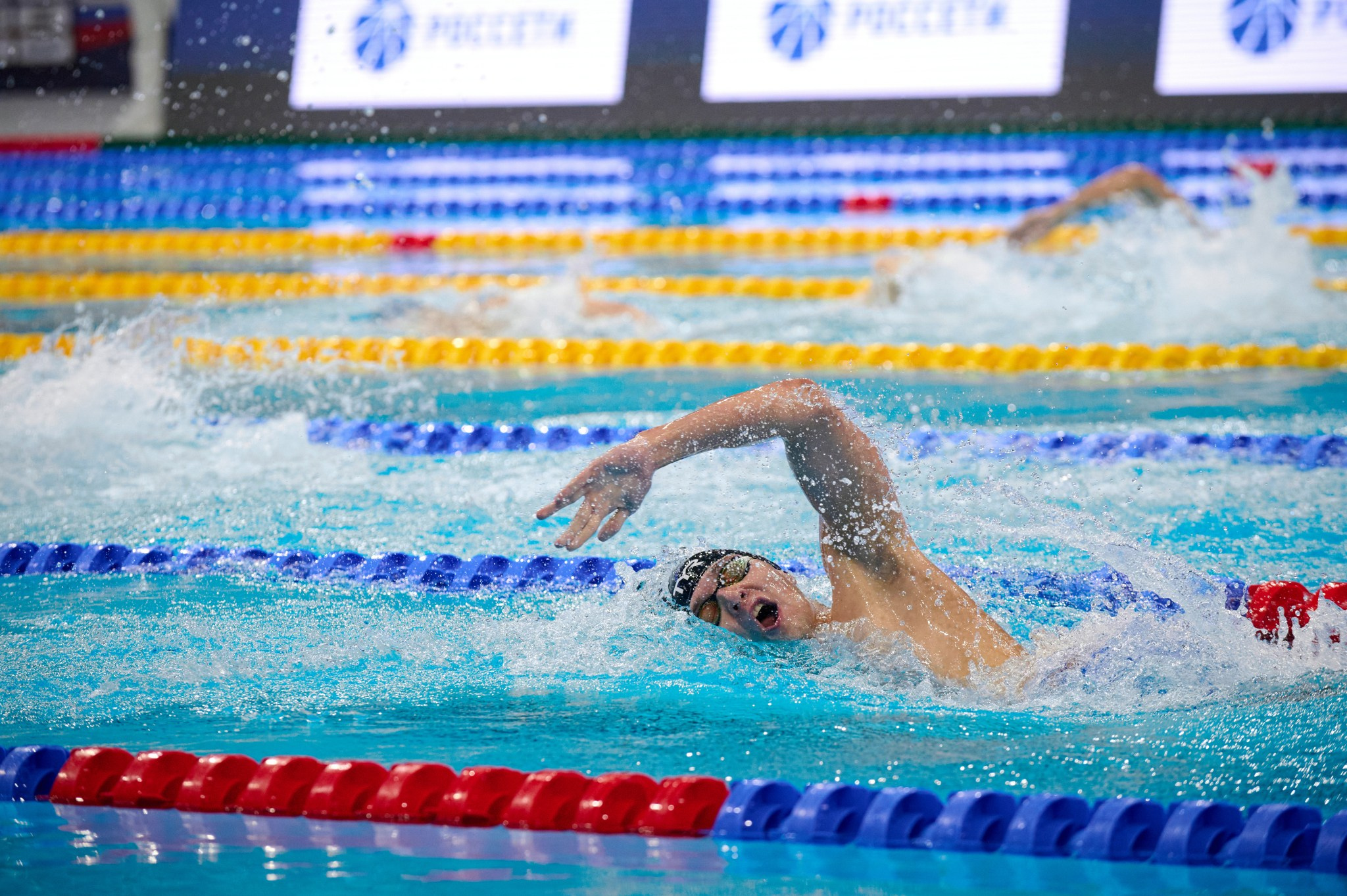 Кубок России по плаванию 2024 г. Екатеринбург. Мезенцев Евгений фотограф