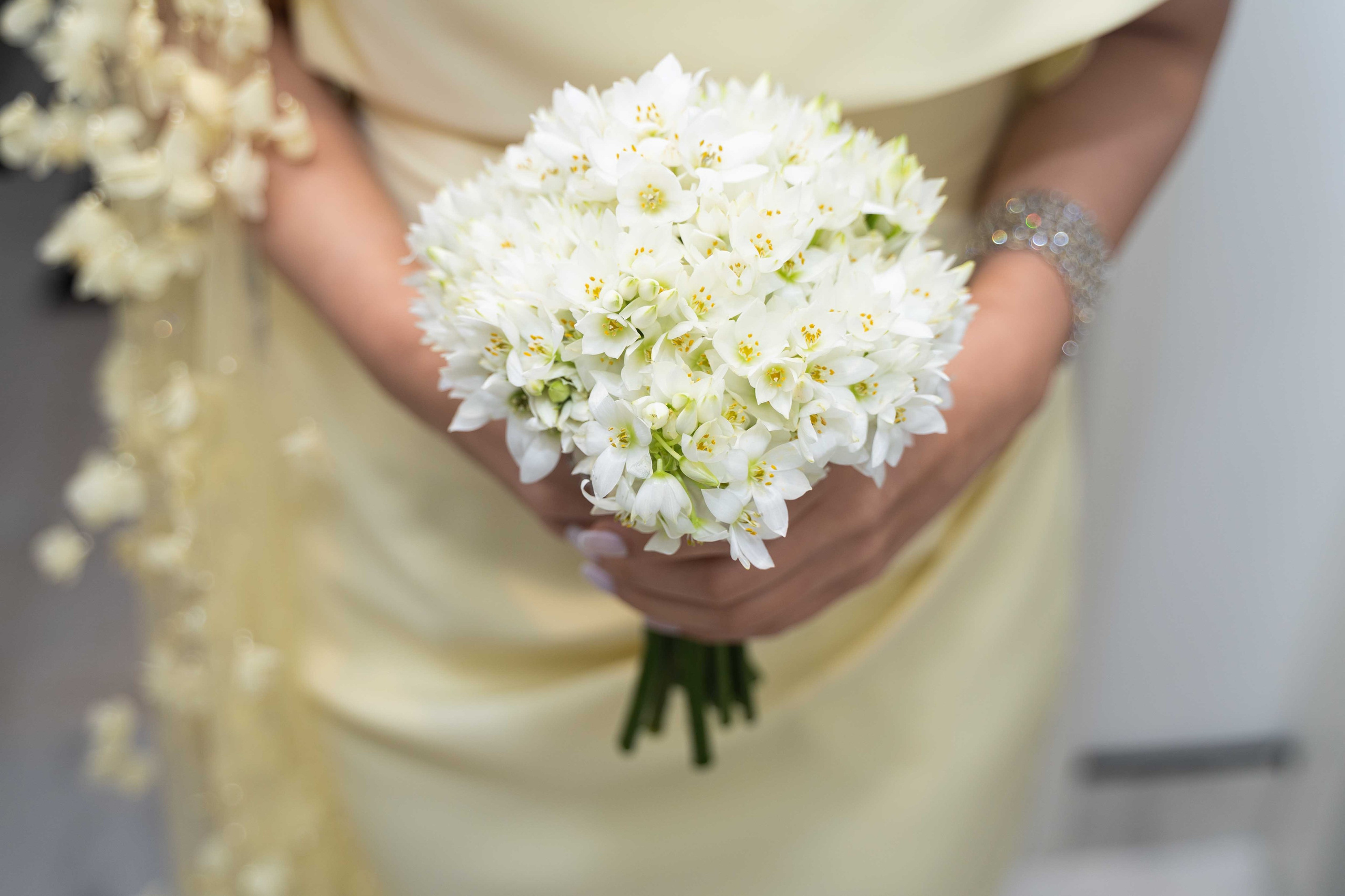 Арабская скромная помолвка дома (приватность на женские лица). Фотограф и видеограф в Москве и Абу Даби Мария Кулагина