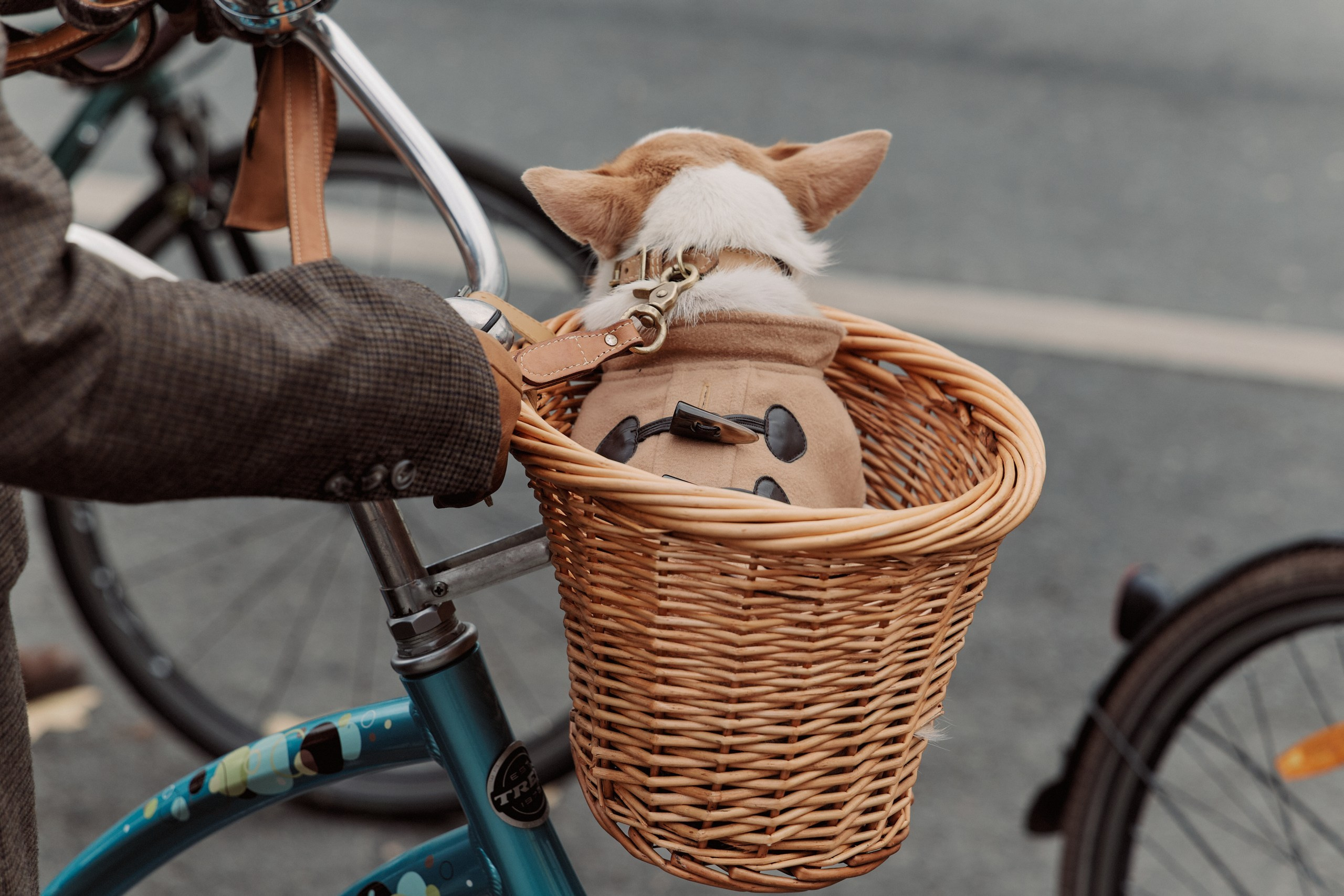 Tweed Hat Ride '26. Фотографирую стиль