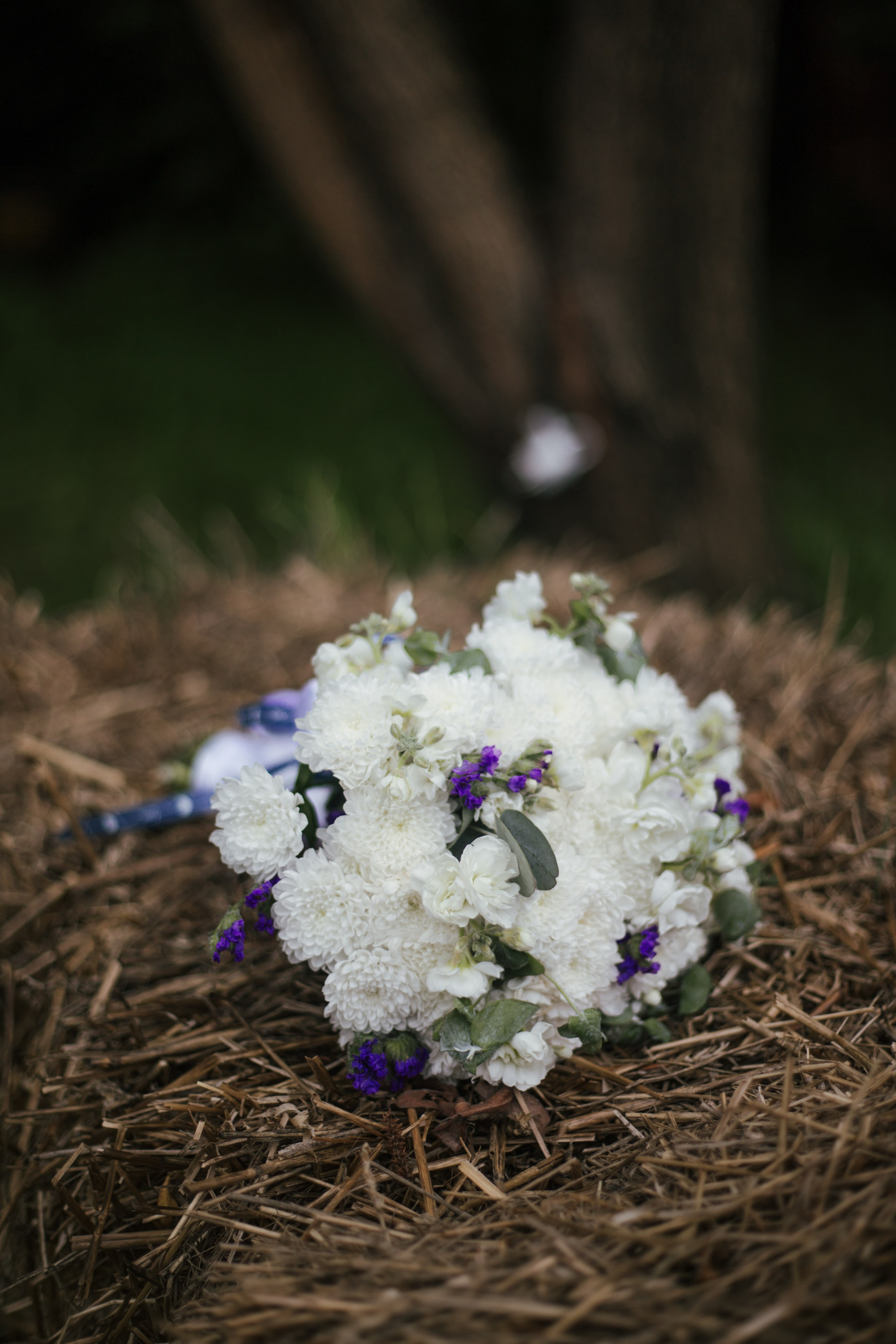 NASTYA + PASHA. Photographer Alina Skitovich