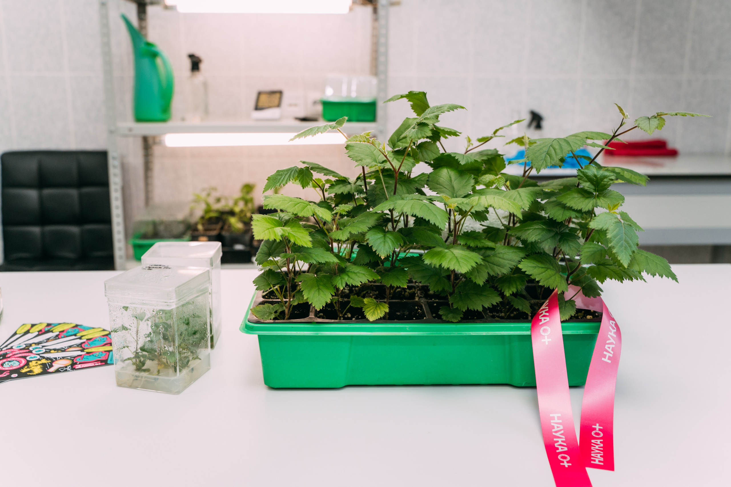 Международная конференция РАН