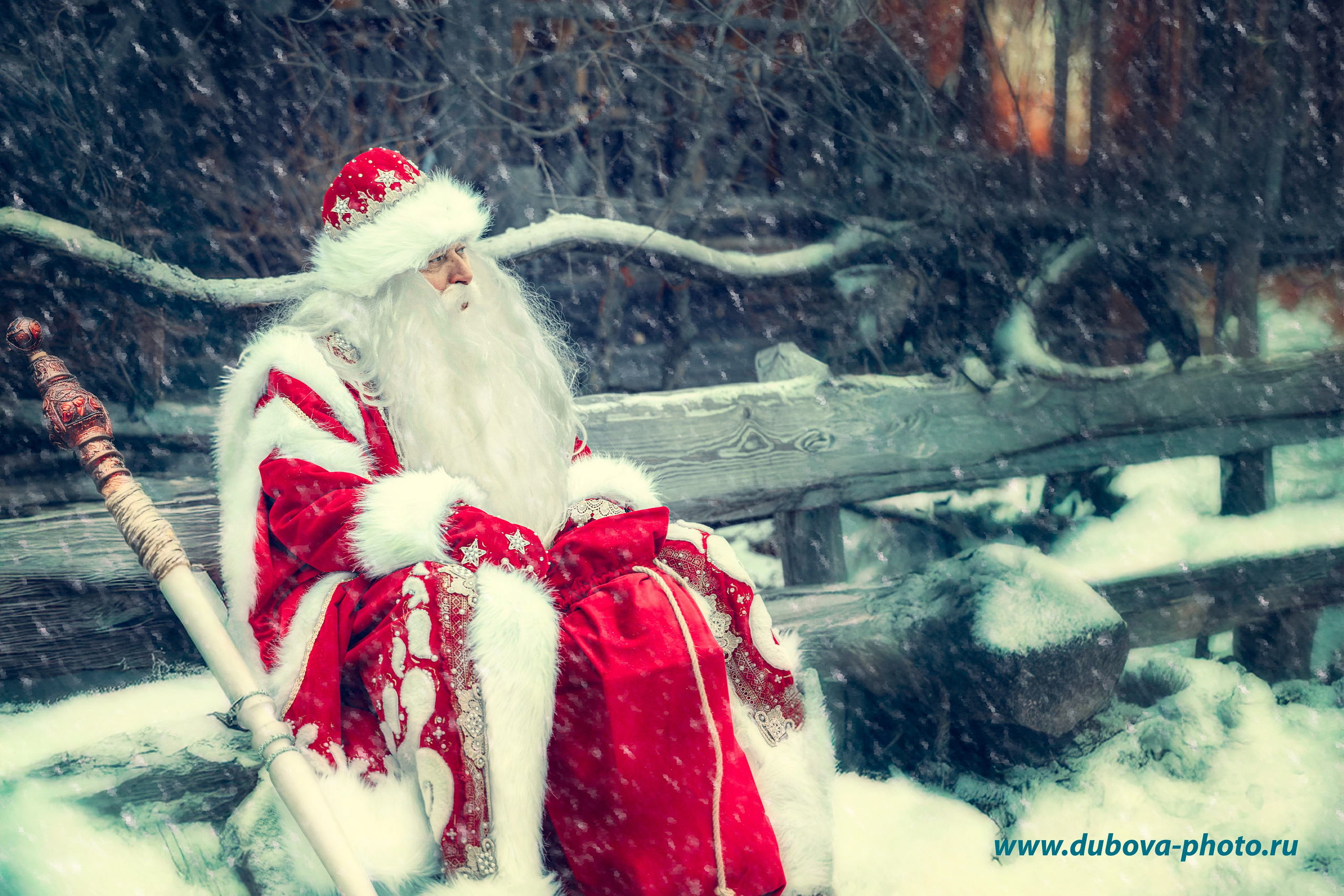 Creativity. Tatyana Dubova. Portrait and Family Photographer, Saint Petersburg