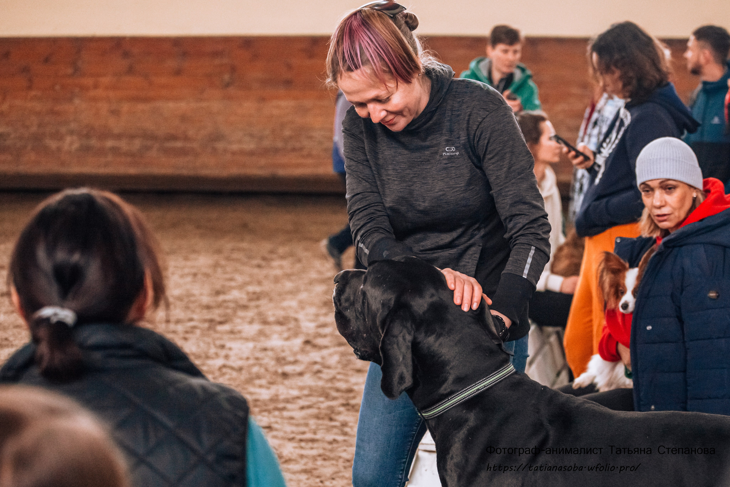 Соревнования по Аджилити 25.02.2024. Фотограф-анималист Татьяна Степанова