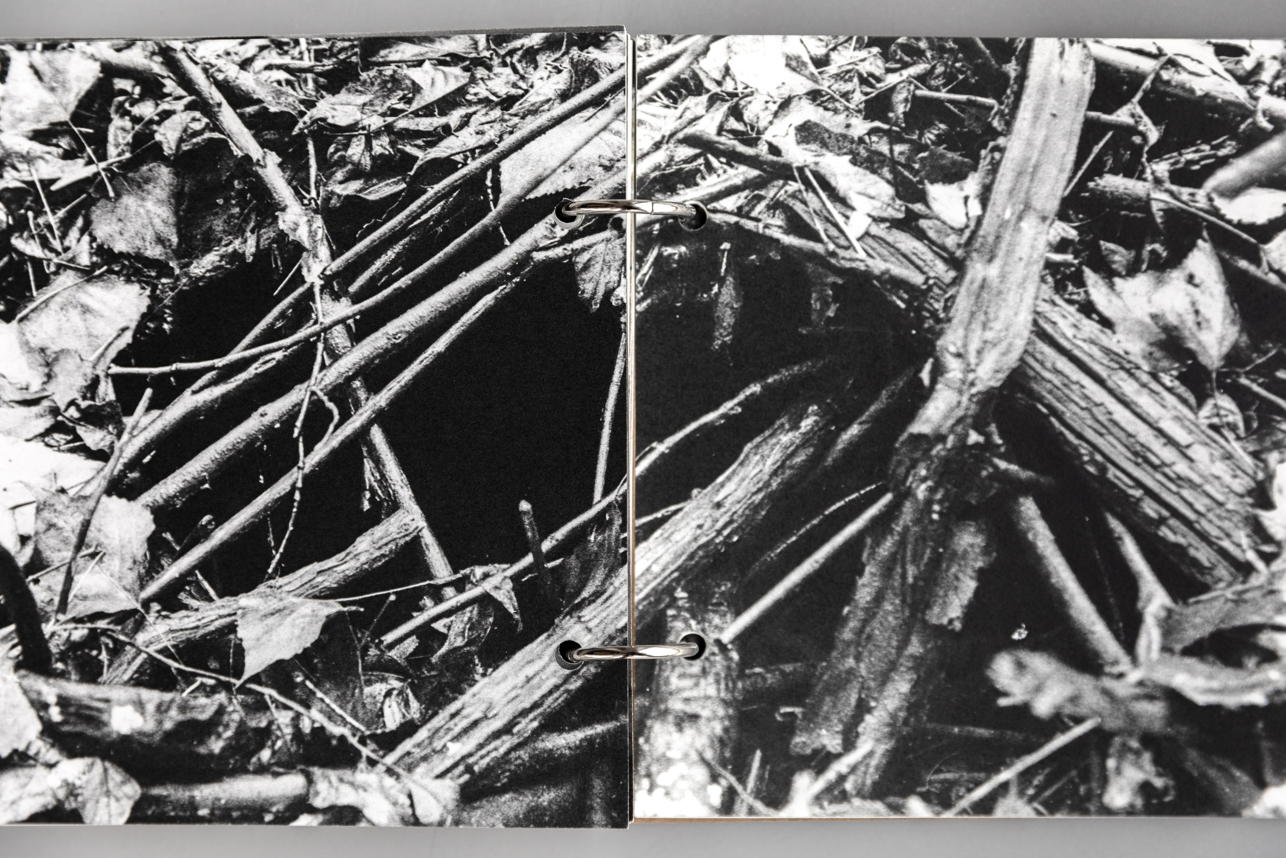 Beetlemania. Лера Круглова