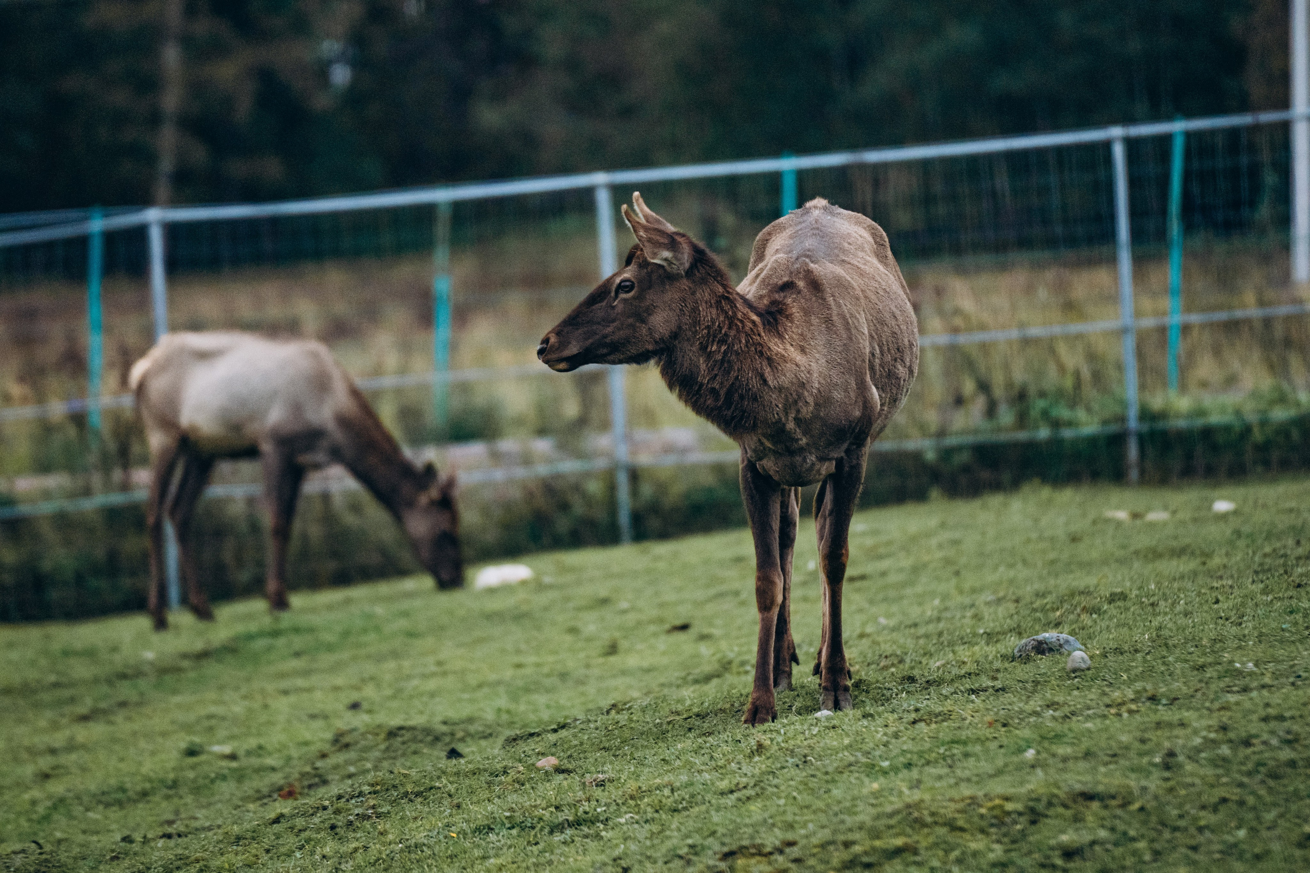 СЕВЕР. Event фотограф Степанова Александра