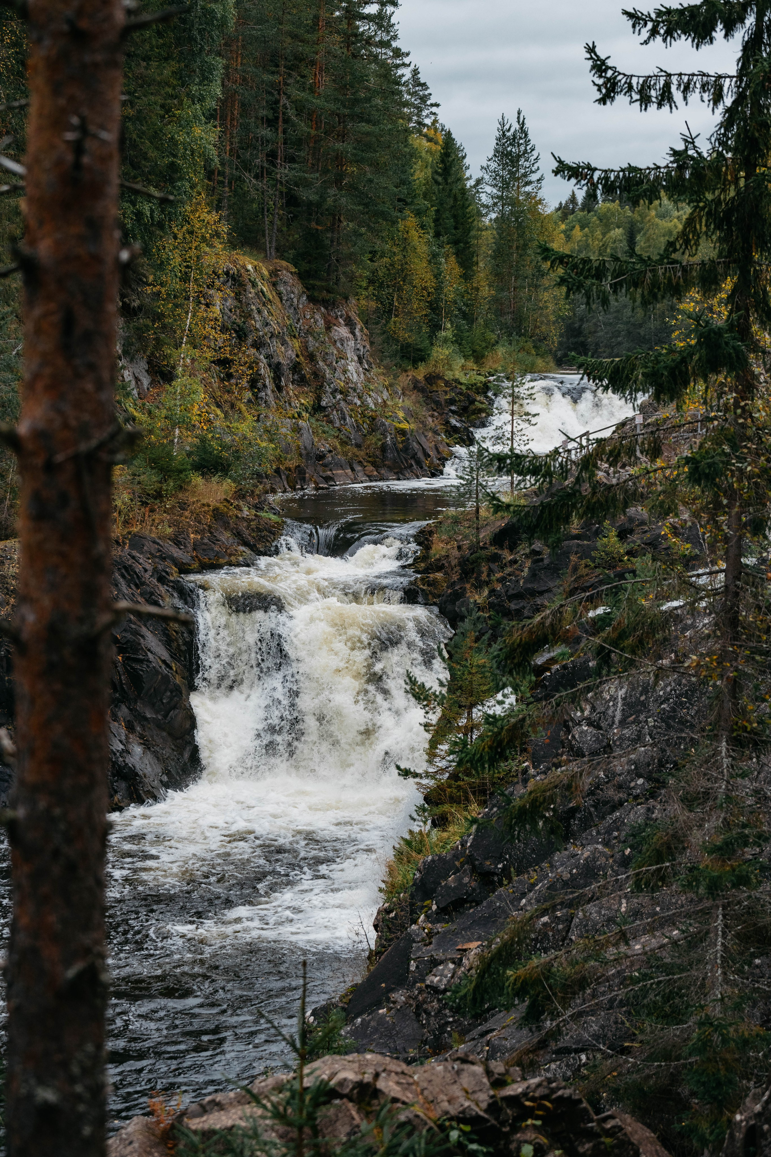 СЕВЕР. Event фотограф Степанова Александра