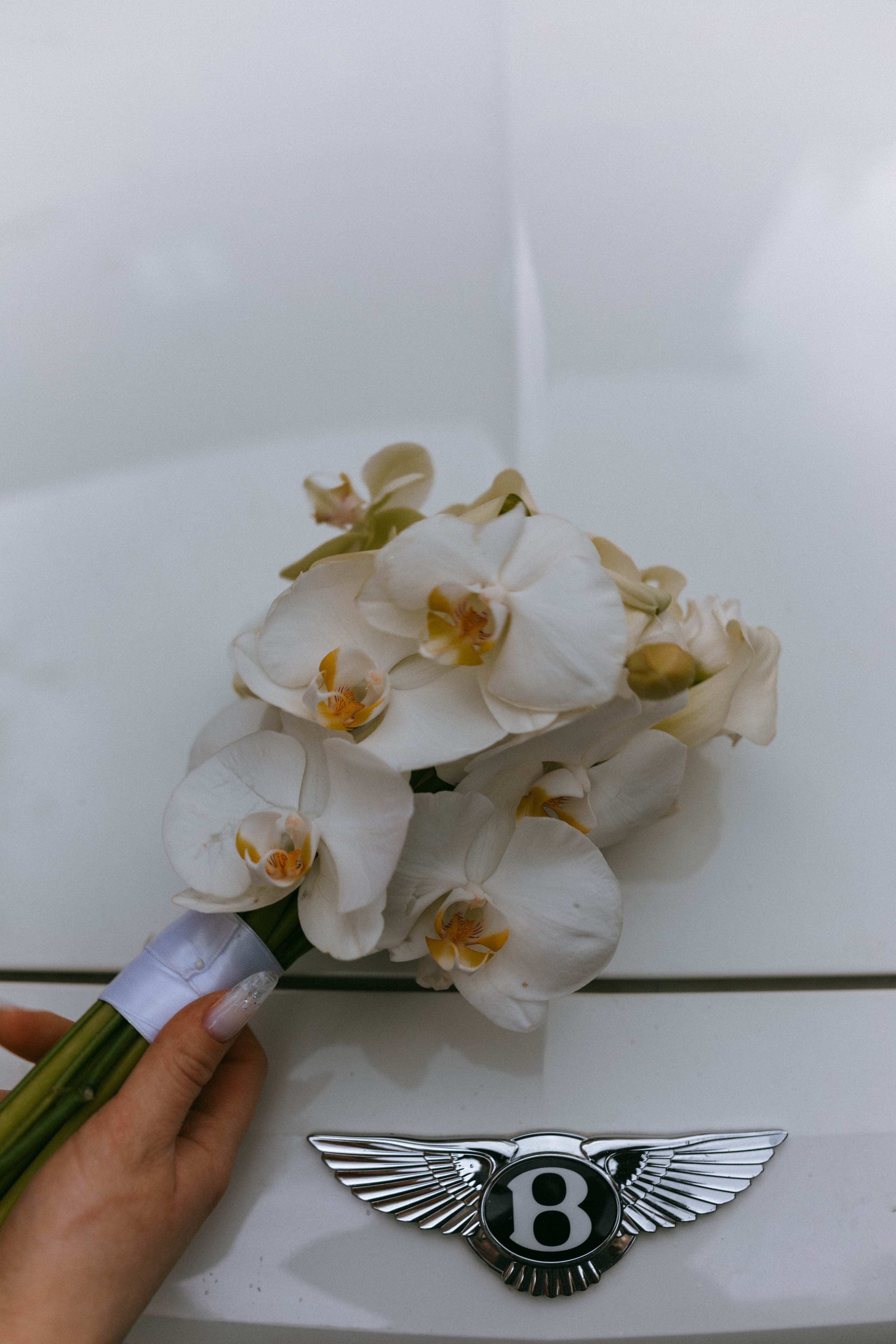 Кирилл и Анастасия. Профессиональный фотограф