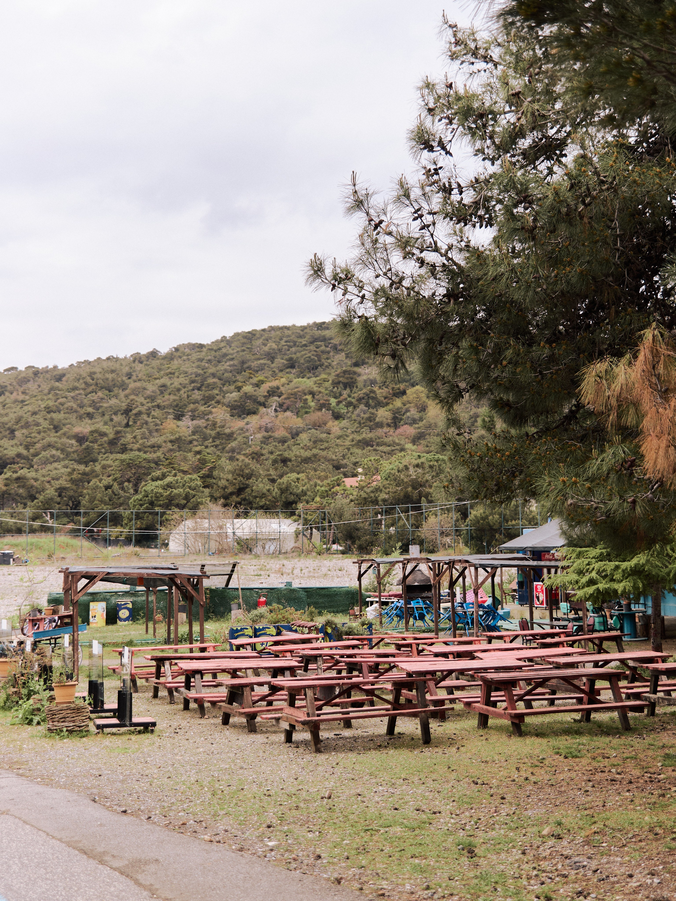 Природа сквозь. Jorgis Talè — photographer, kind person, teacher of arts and other mag