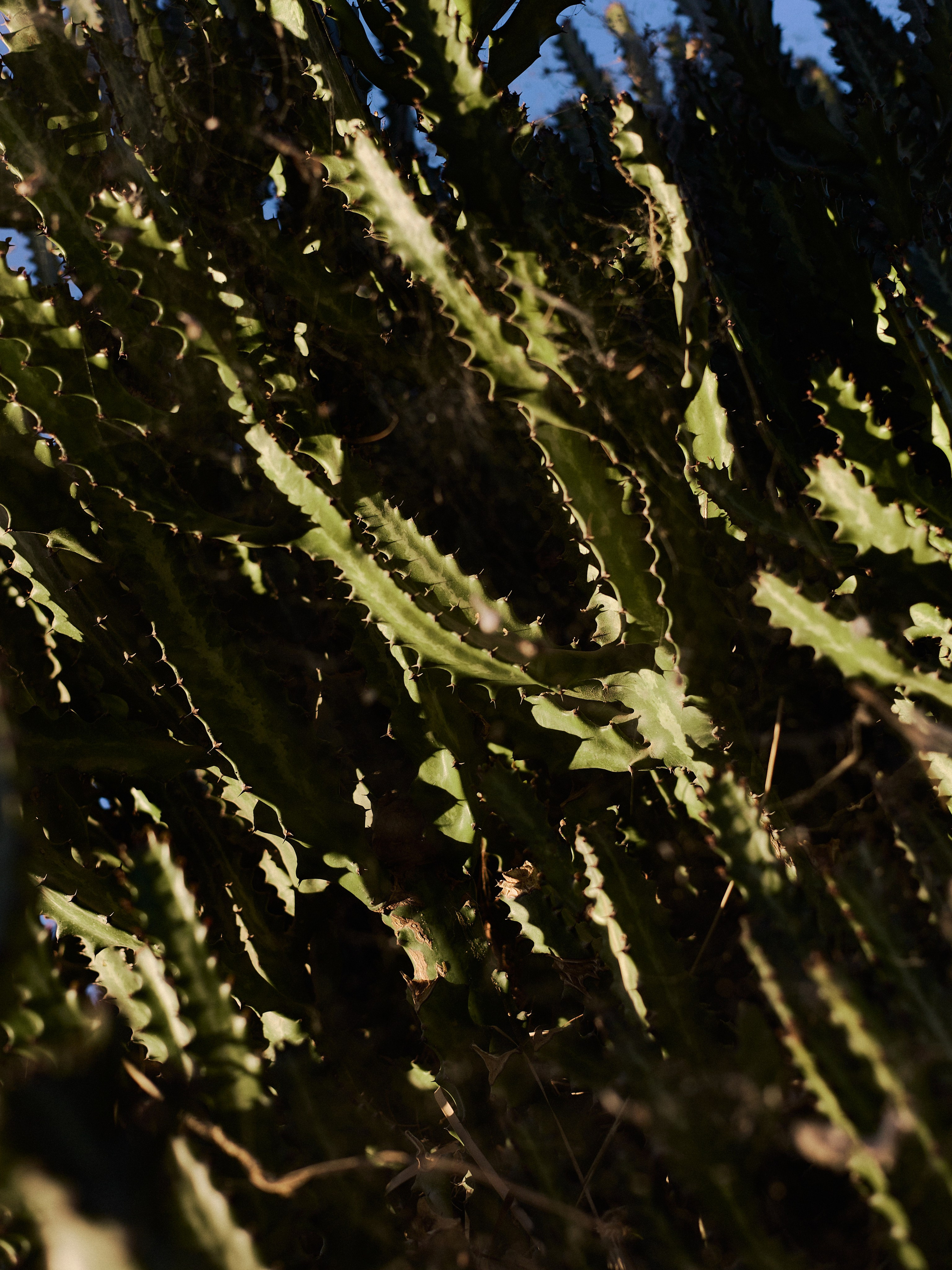 Другое 3. Jorgis Talè — photographer, kind person, teacher of arts and other mag