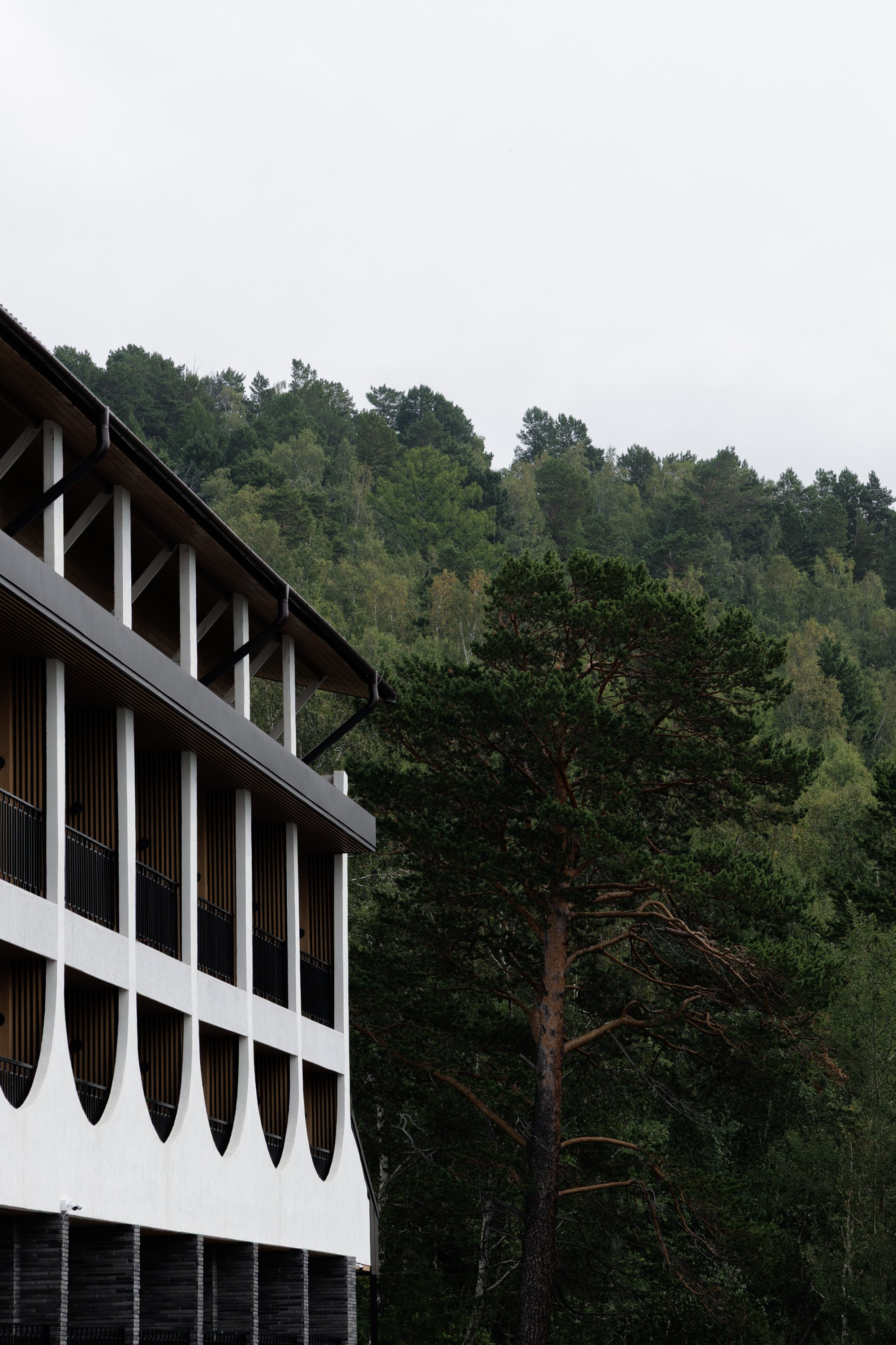 Андрей и Валерия. Свадебный фотограф