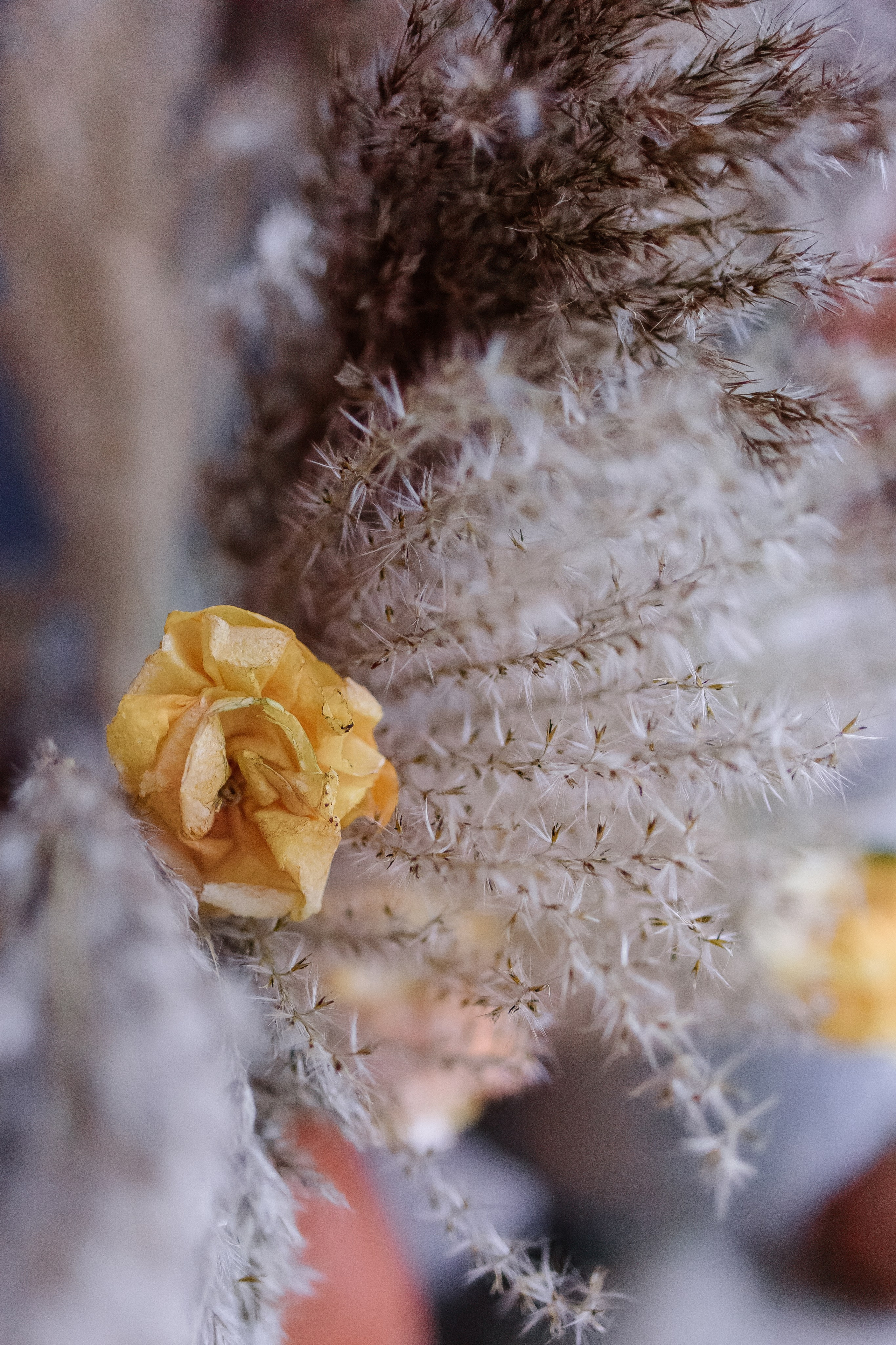 Шоу тортов 2. Свадебный фотограф