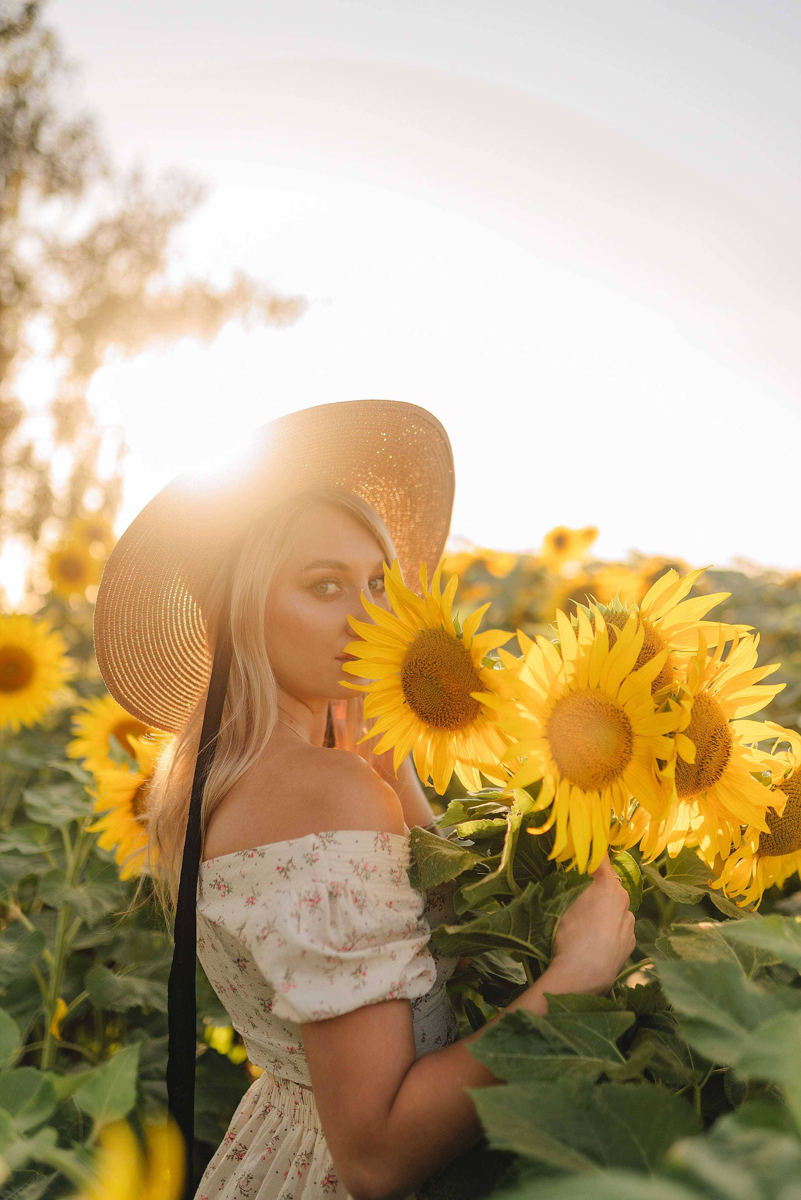 Олеся | Съемка с подсолнухами. Фотограф Карина Шмулёва. Воронеж и область