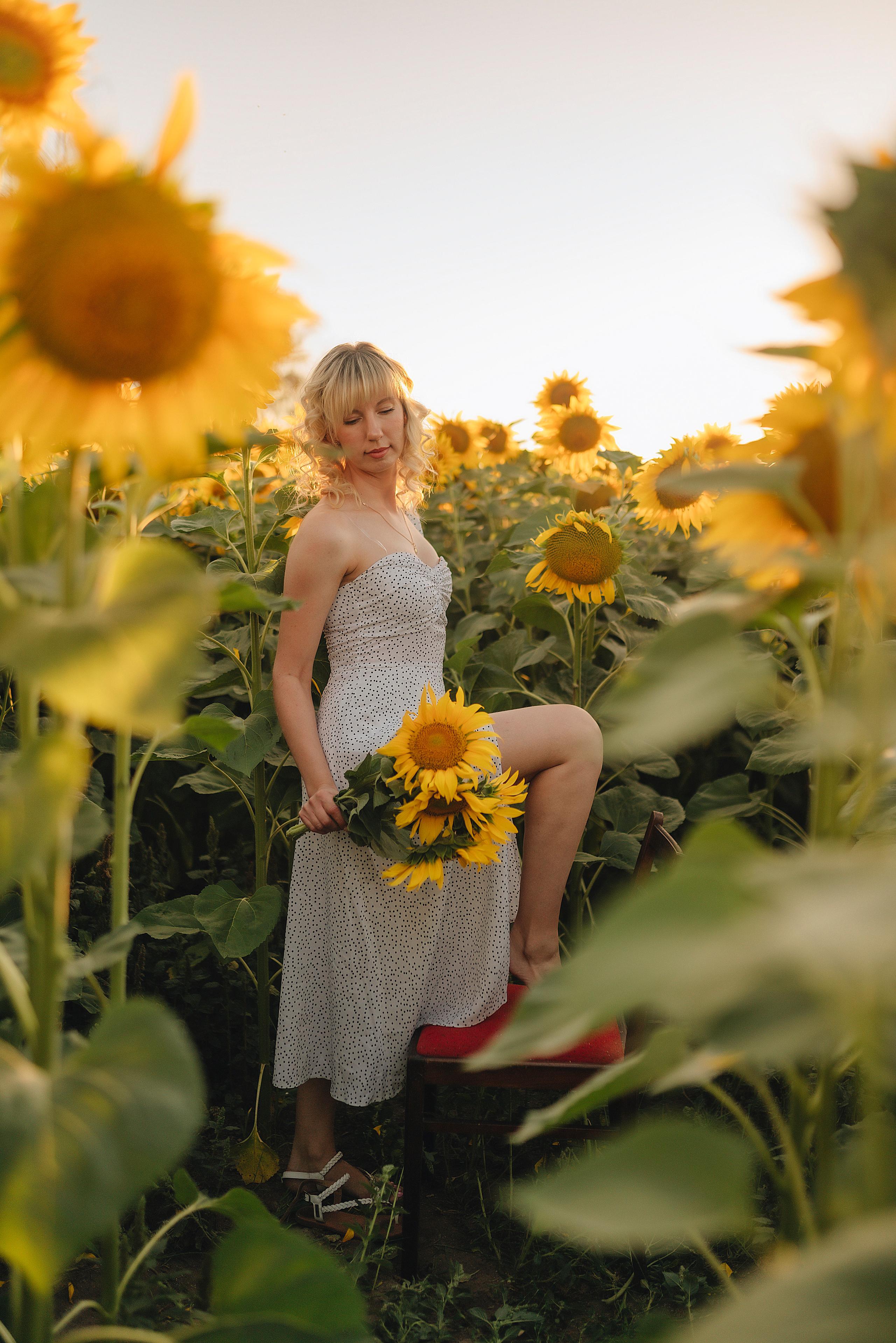 Анастасия | Съёмка в подсолнухах. Фотограф Карина Шмулёва. Воронеж и область