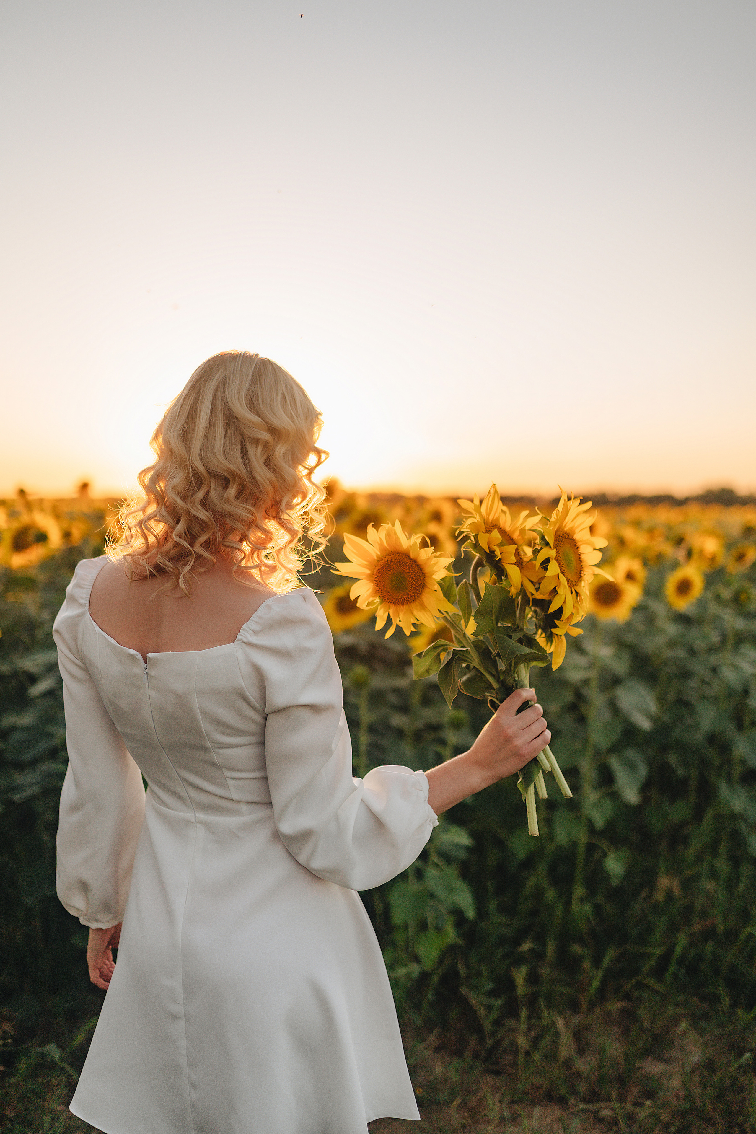 Анастасия | Съёмка в подсолнухах. Фотограф Карина Шмулёва. Воронеж и область