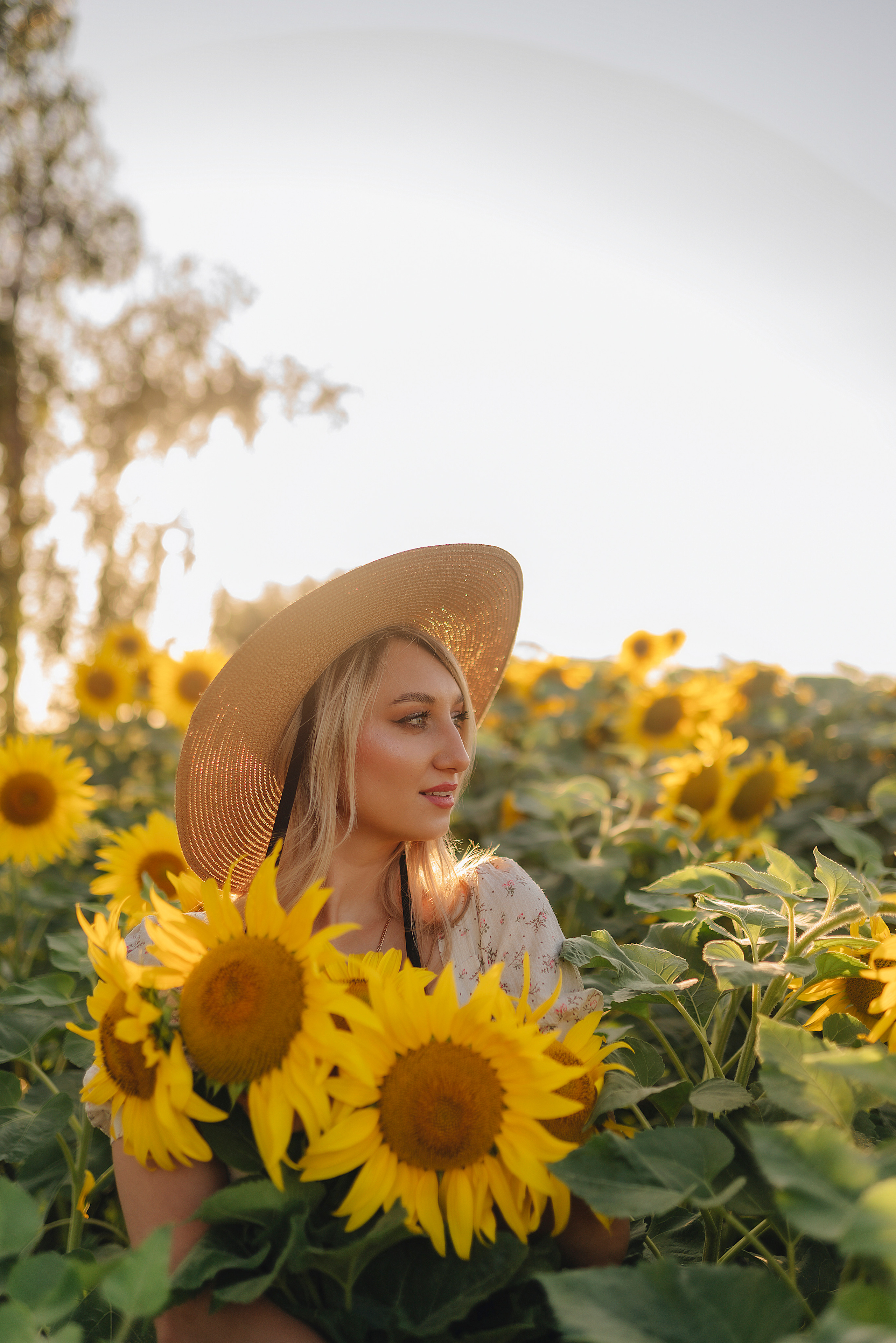 Олеся | Съемка с подсолнухами. Фотограф Карина Шмулёва. Воронеж и область