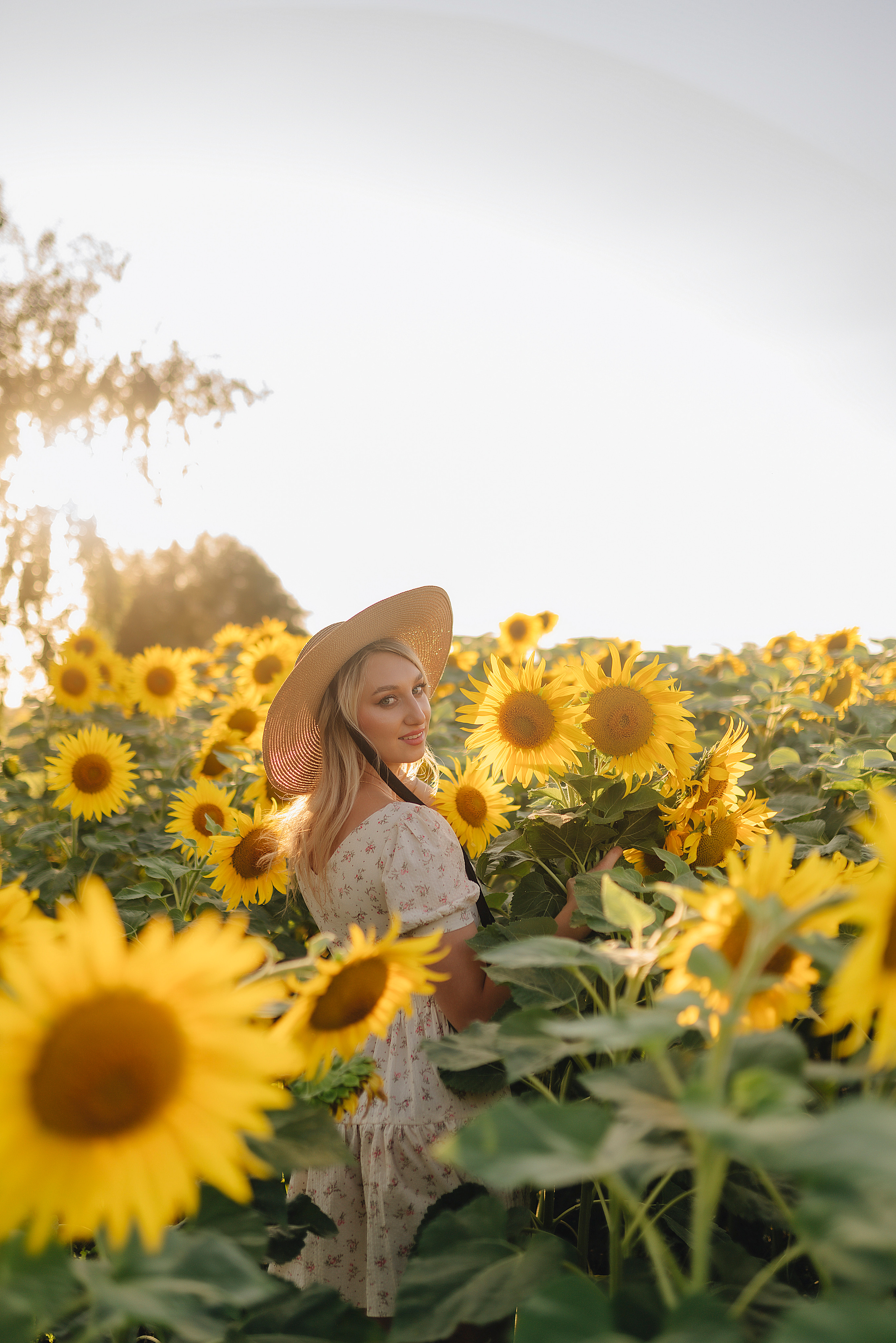 Олеся | Съемка с подсолнухами. Фотограф Карина Шмулёва. Воронеж и область