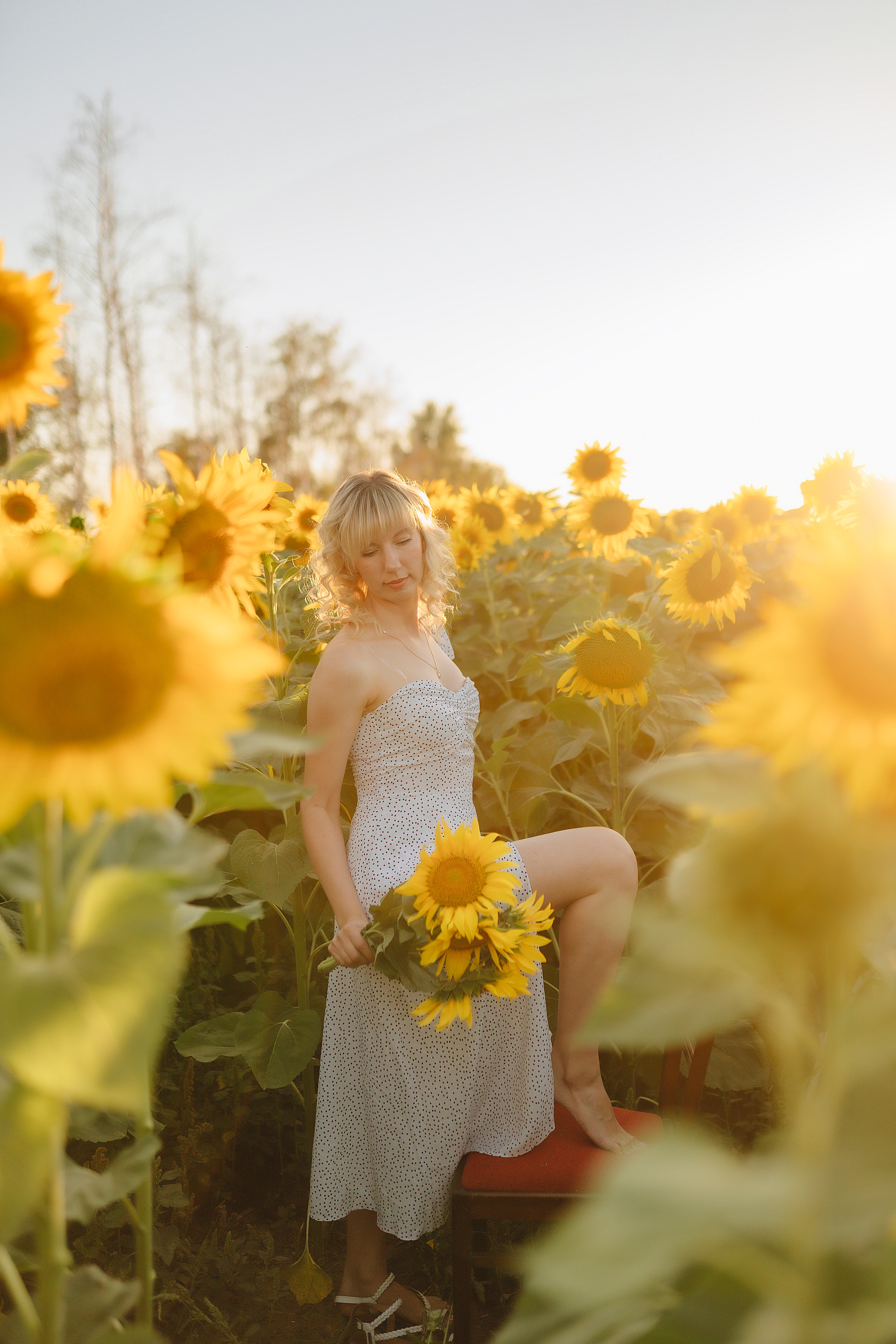 Анастасия | Съёмка в подсолнухах. Фотограф Карина Шмулёва. Воронеж и область