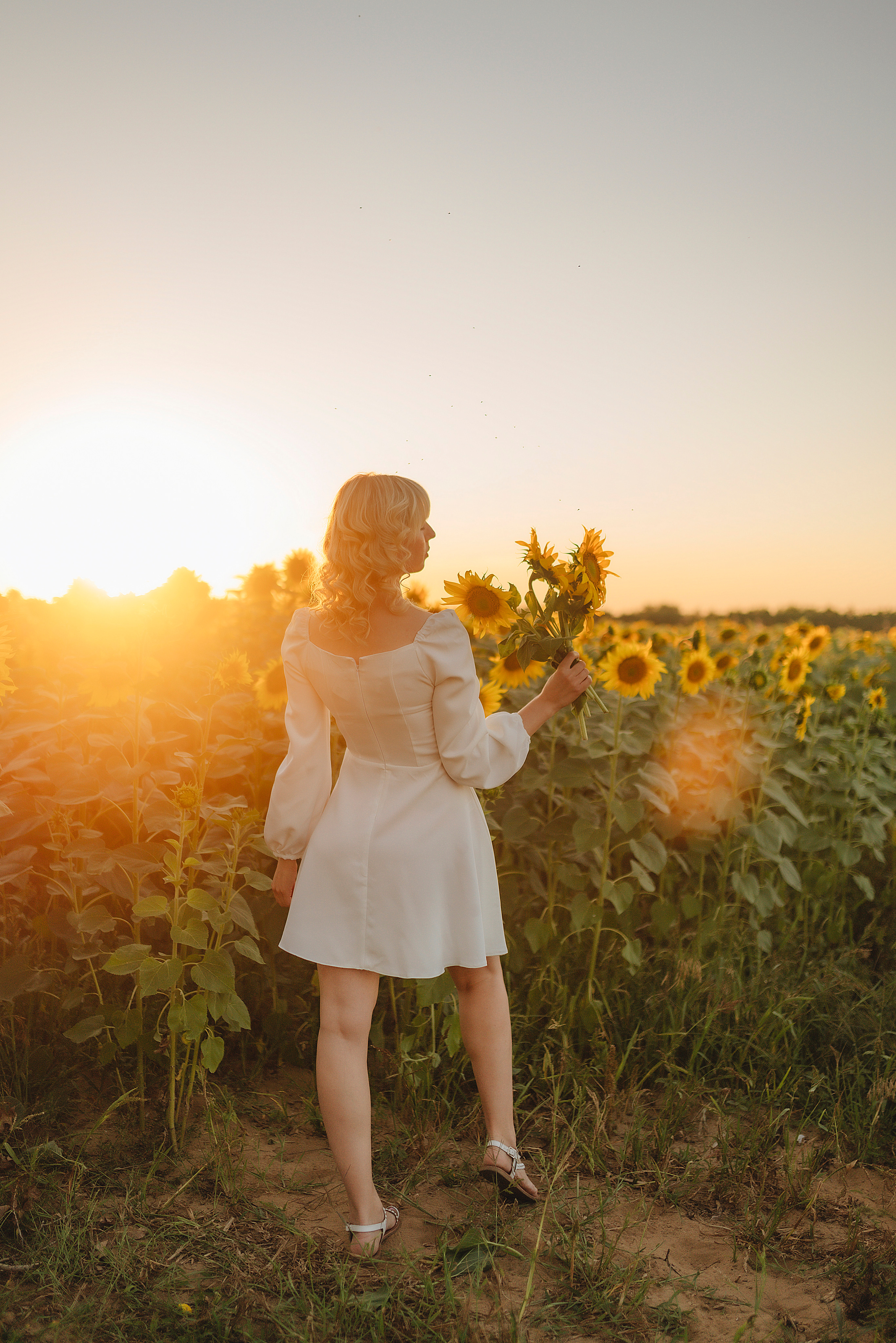 Анастасия | Съёмка в подсолнухах. Фотограф Карина Шмулёва. Воронеж и область
