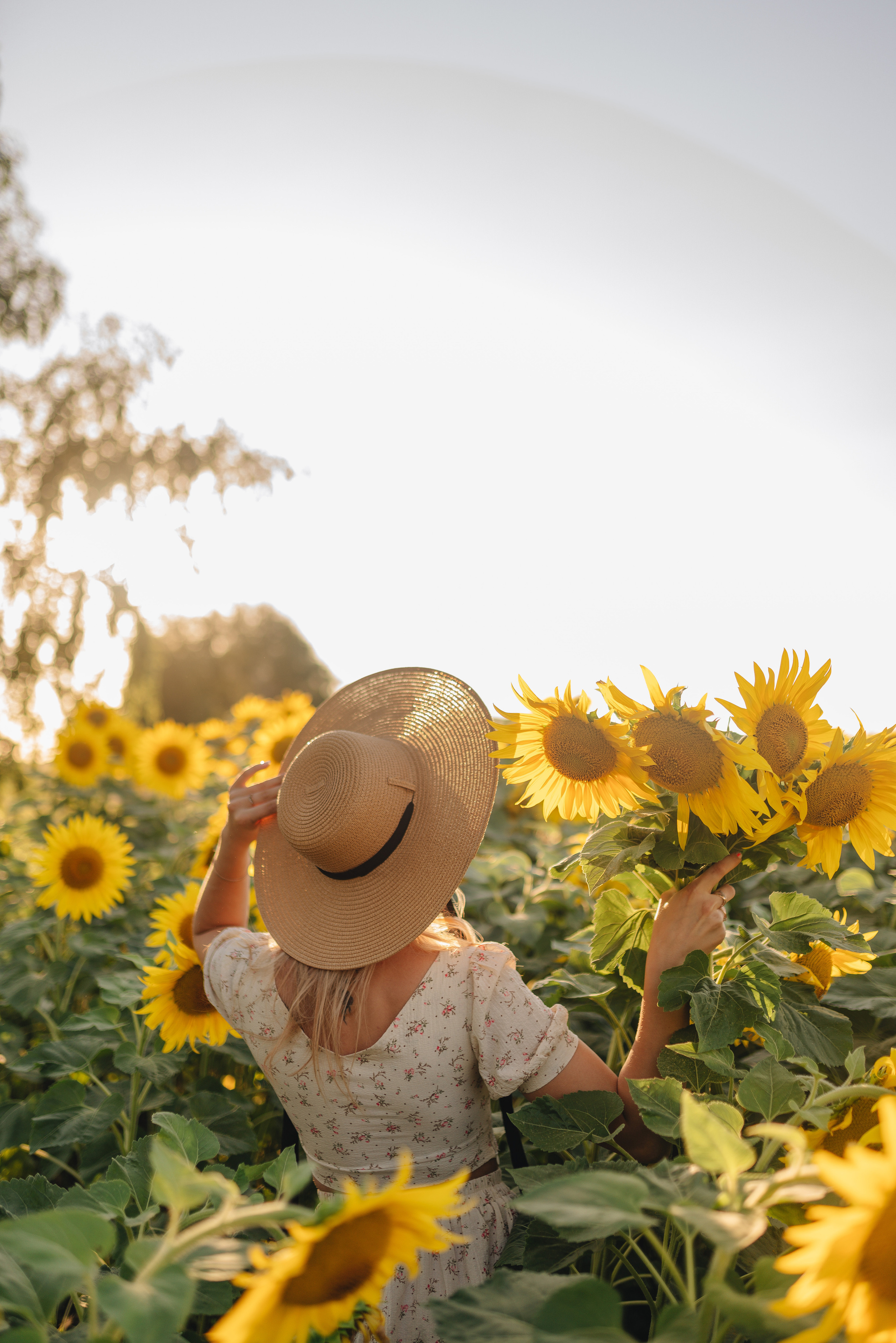 Олеся | Съемка с подсолнухами. Фотограф Карина Шмулёва. Воронеж и область