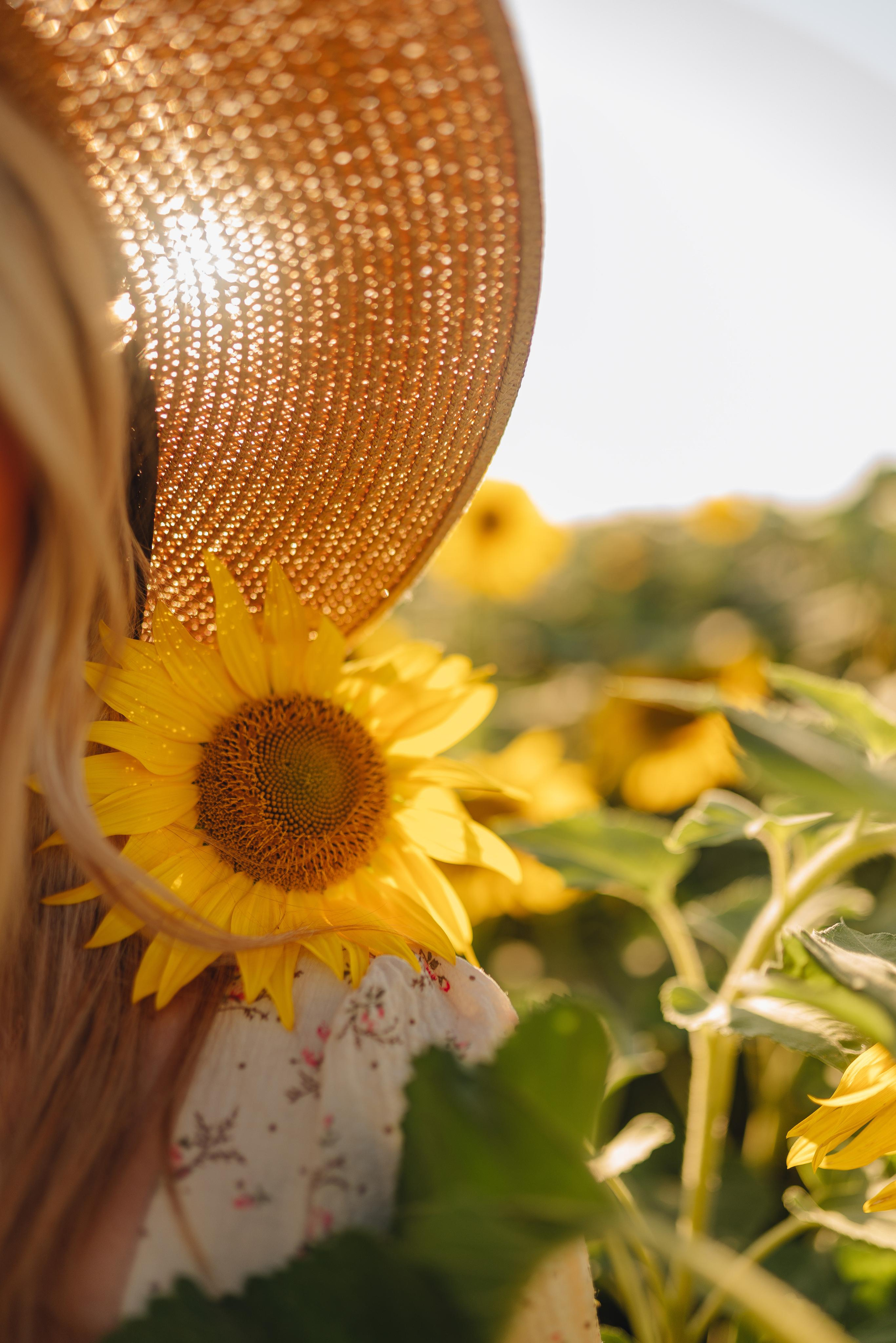 Олеся | Съемка с подсолнухами. Фотограф Карина Шмулёва. Воронеж и область