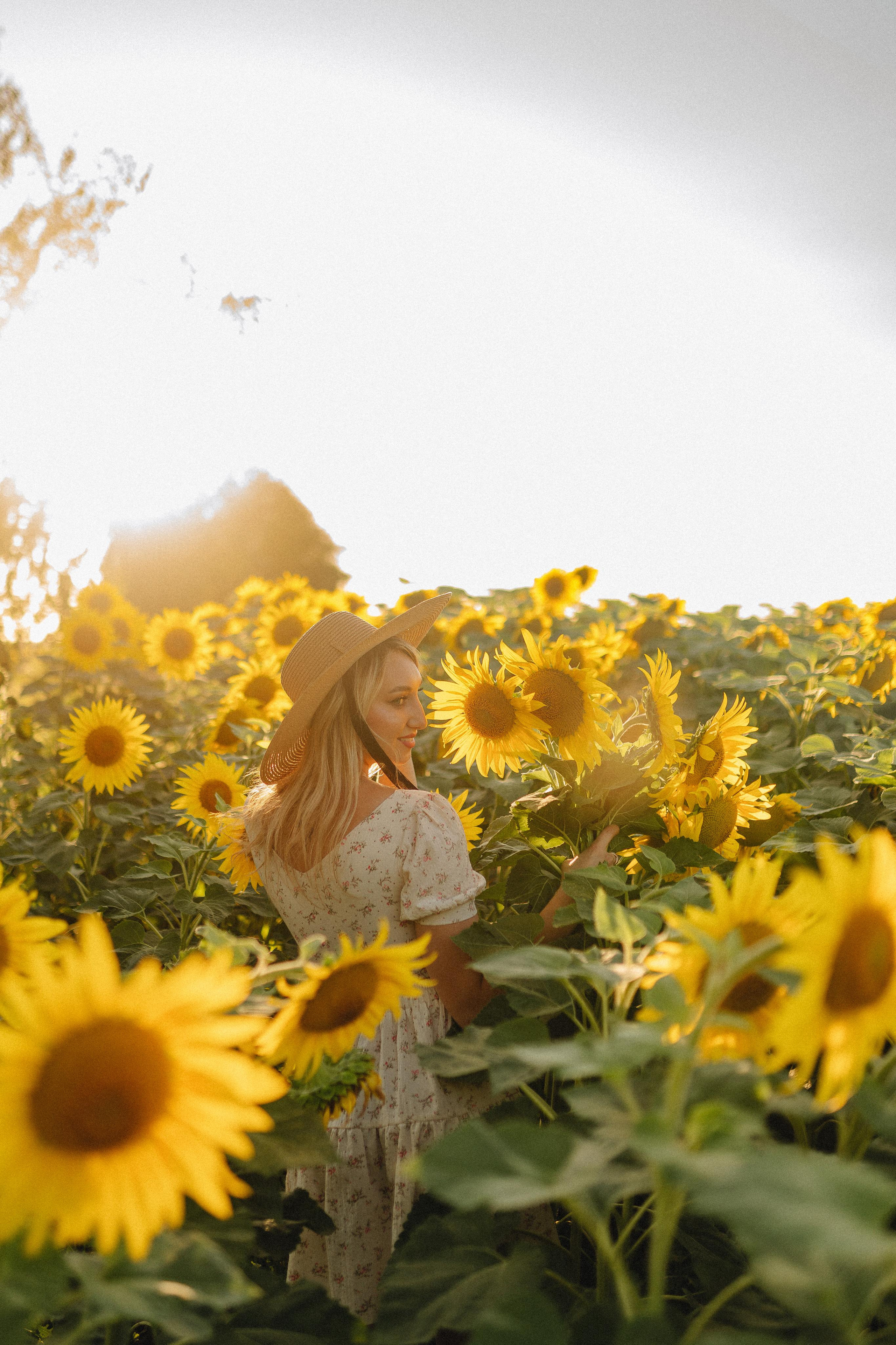 Олеся | Съемка с подсолнухами. Фотограф Карина Шмулёва. Воронеж и область