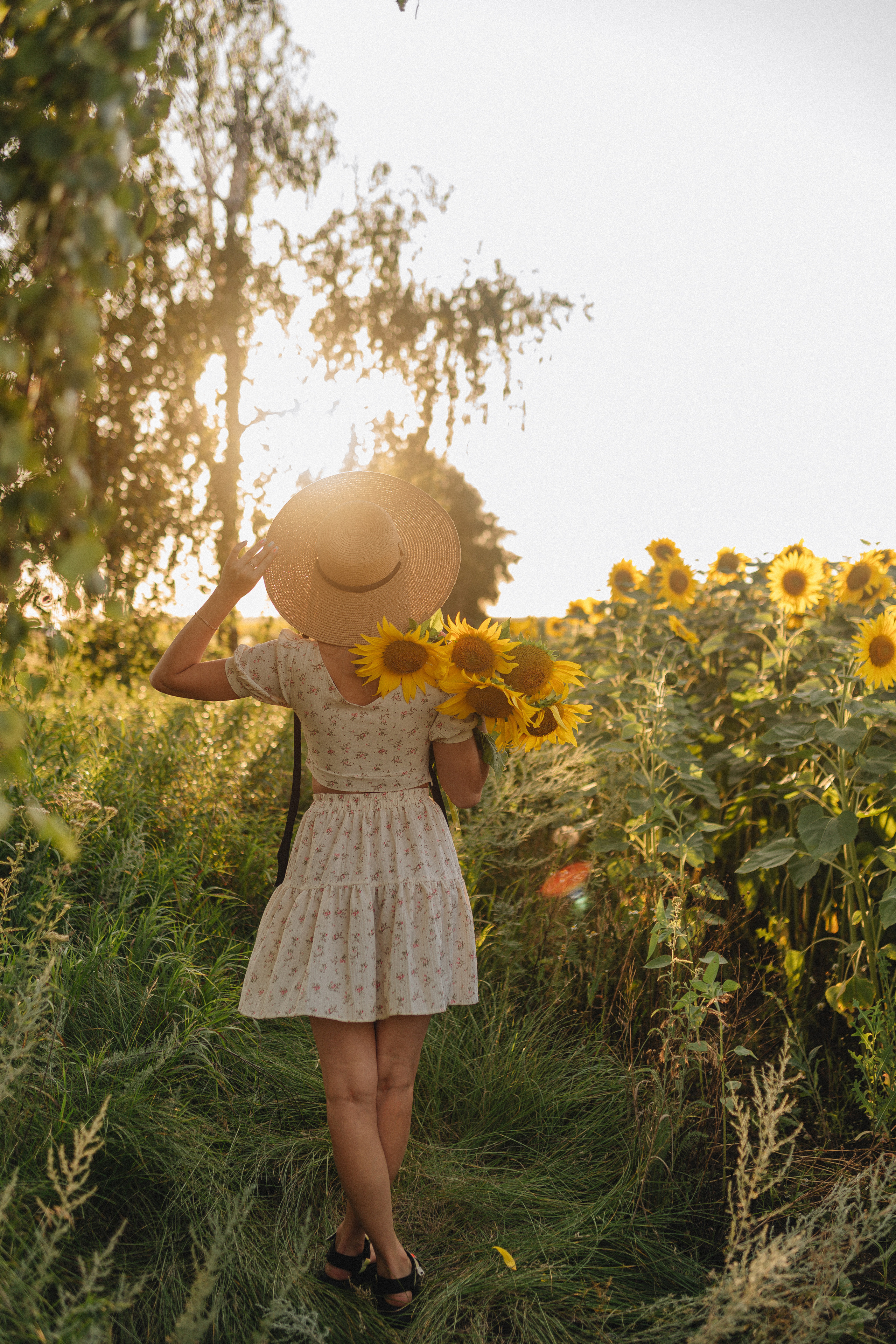 Олеся | Съемка с подсолнухами. Фотограф Карина Шмулёва. Воронеж и область