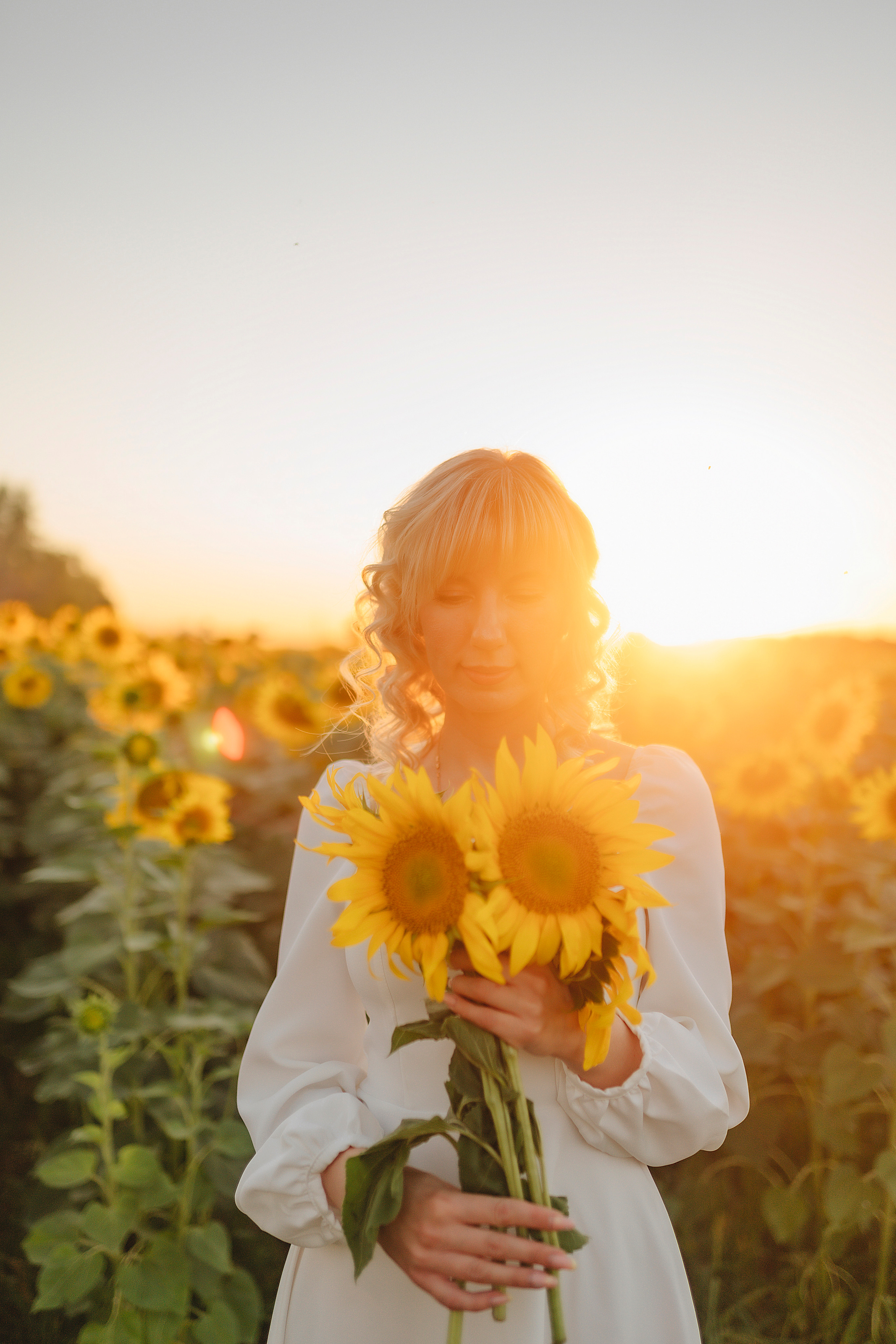Анастасия | Съёмка в подсолнухах. Фотограф Карина Шмулёва. Воронеж и область
