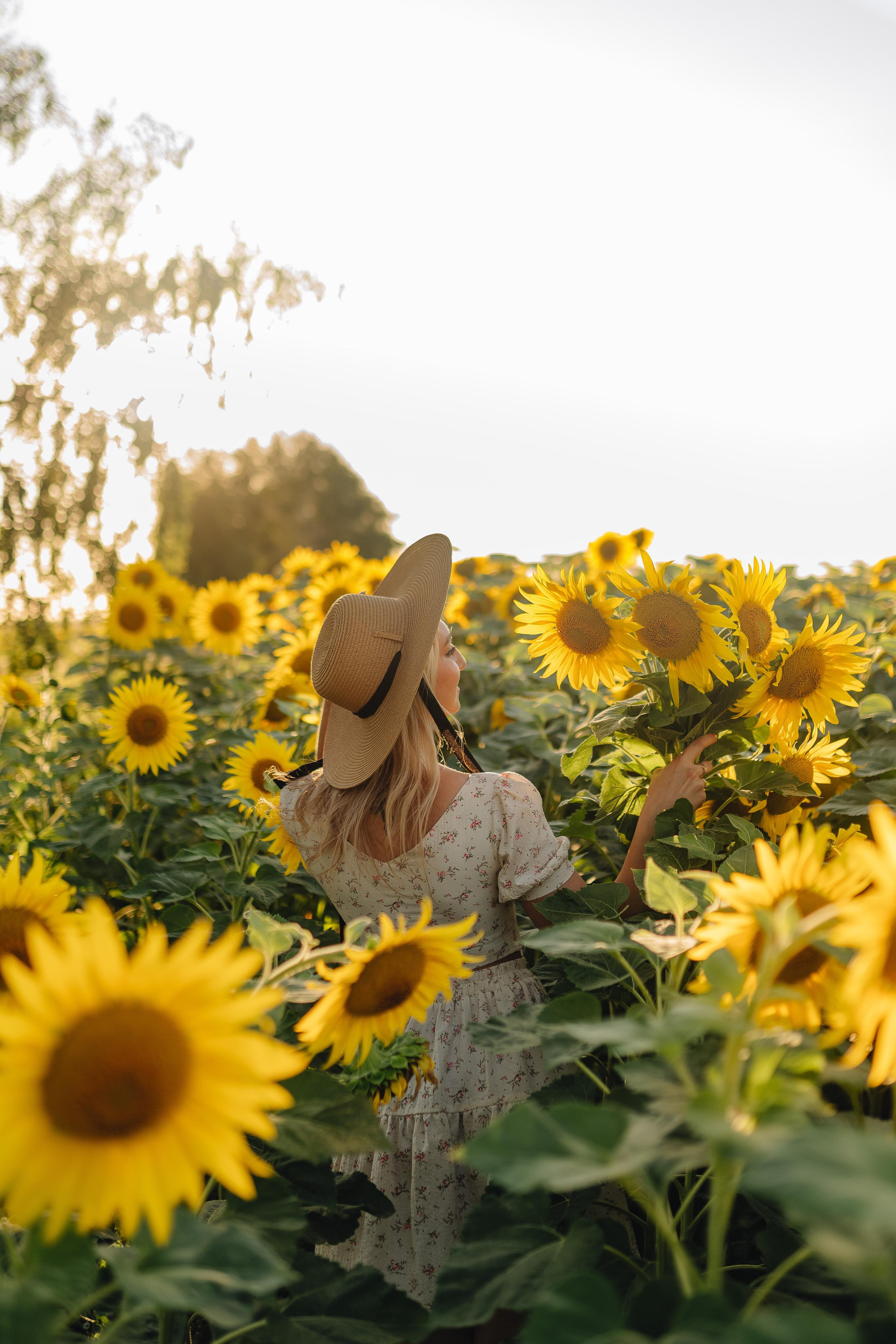 Олеся | Съемка с подсолнухами. Фотограф Карина Шмулёва. Воронеж и область