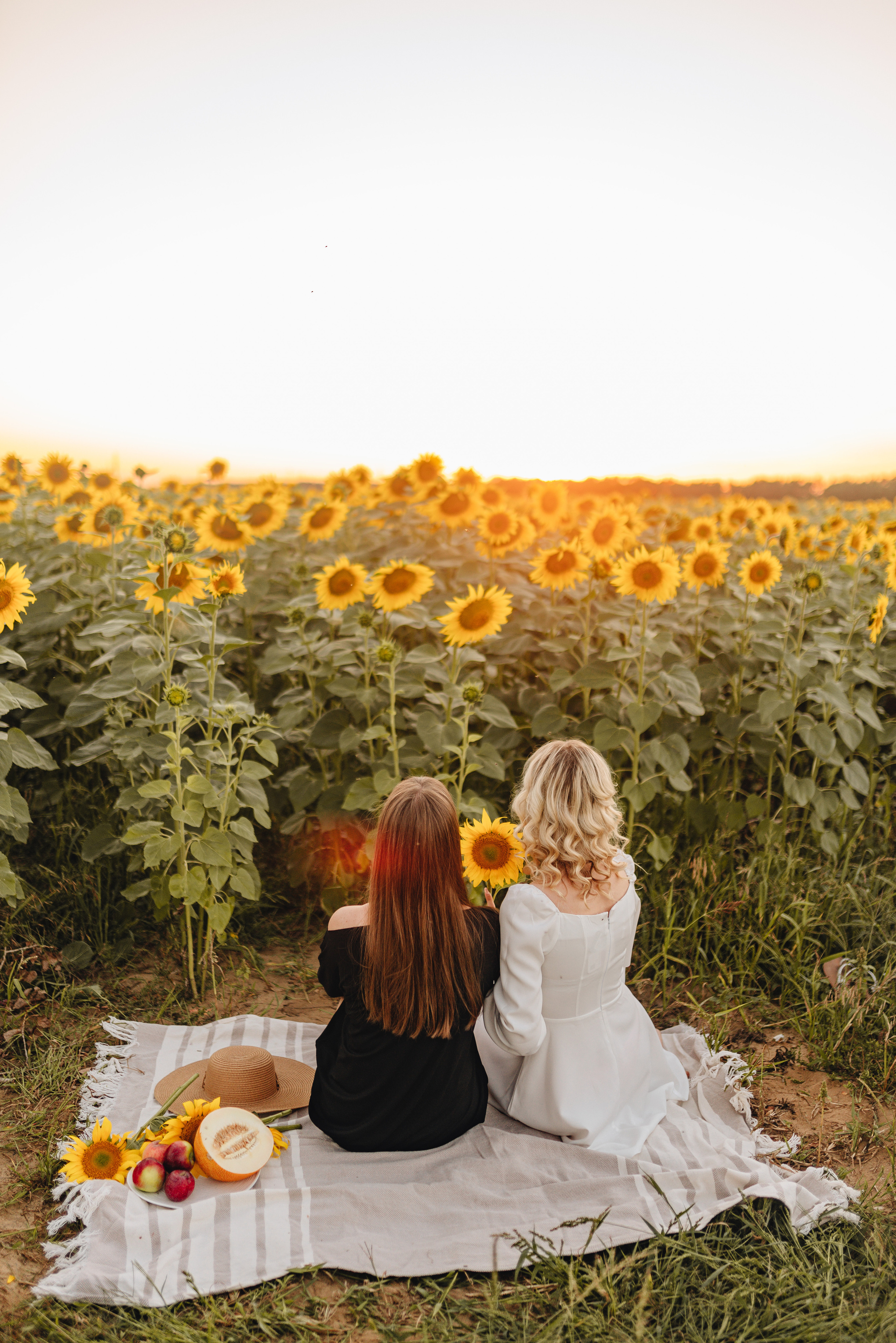 Анастасия | Съёмка в подсолнухах. Фотограф Карина Шмулёва. Воронеж и область