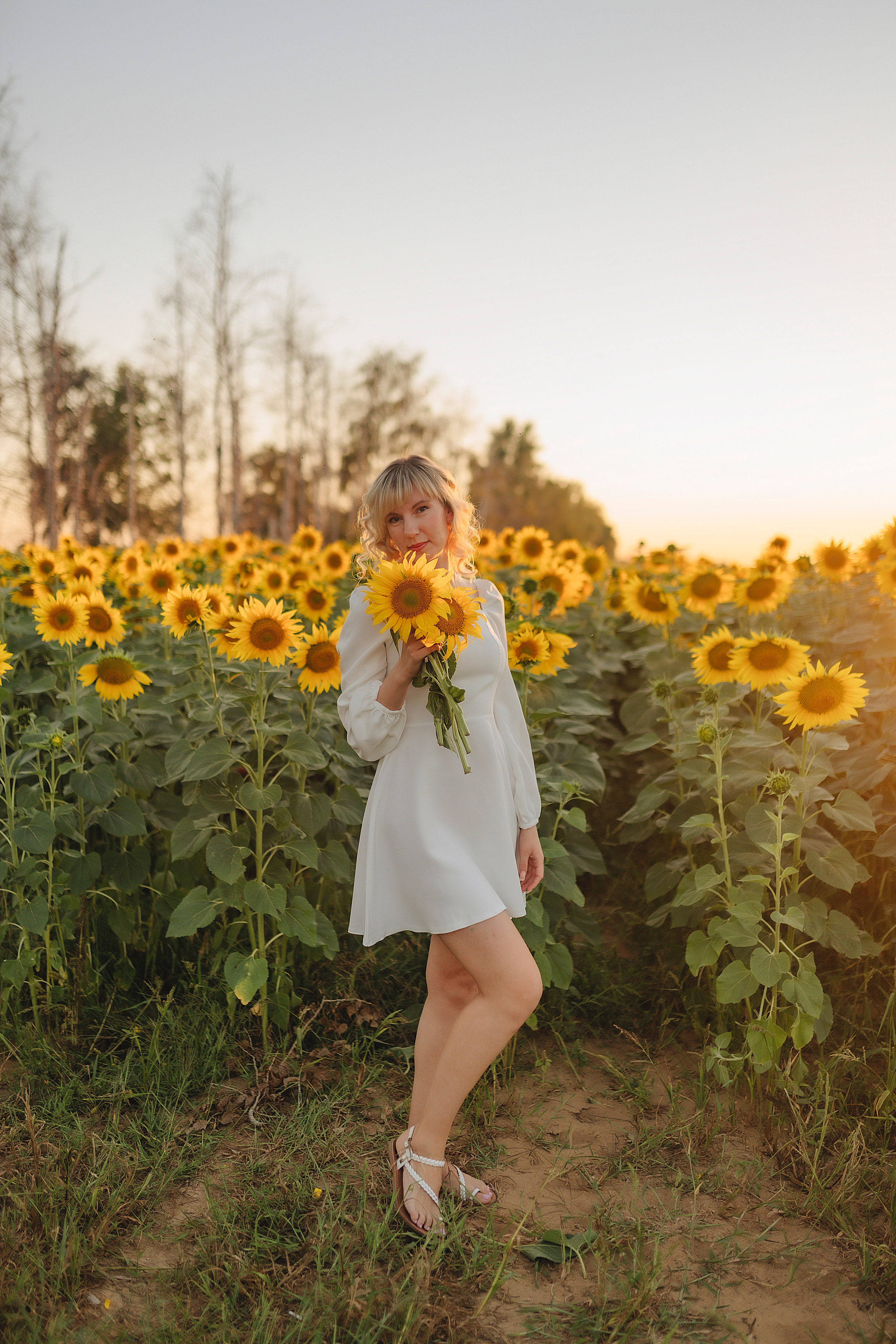 Анастасия | Съёмка в подсолнухах. Фотограф Карина Шмулёва. Воронеж и область