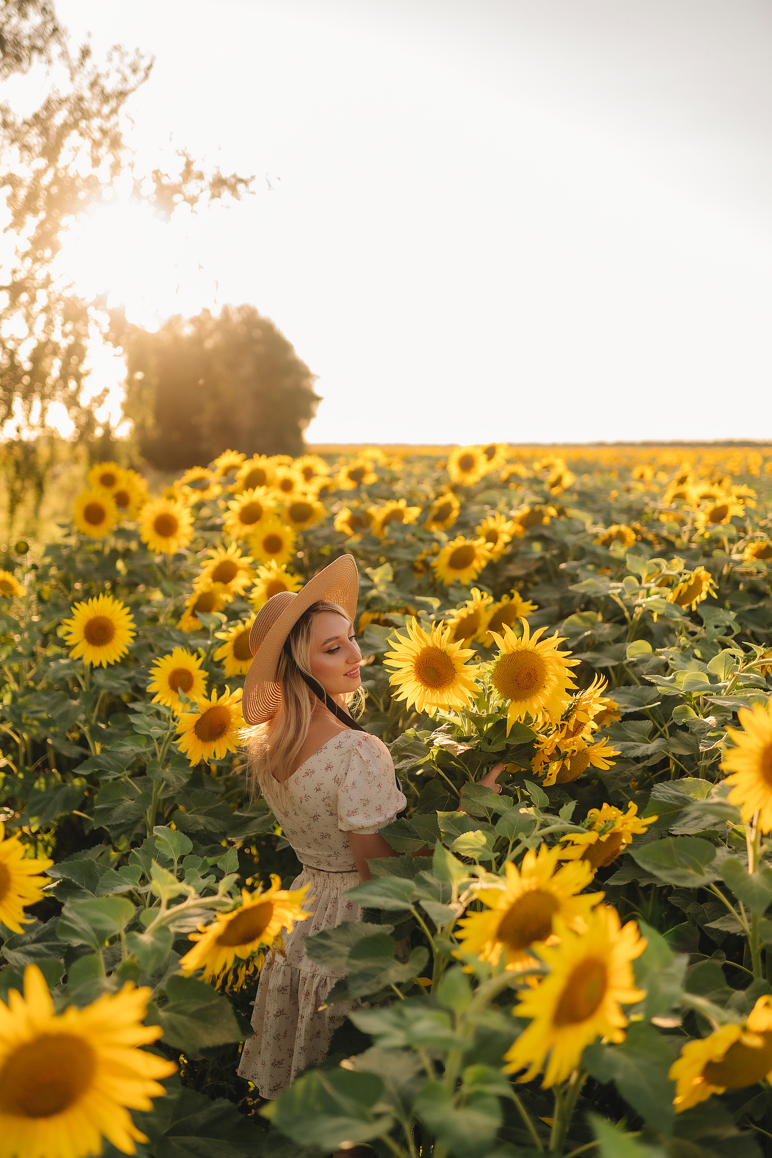 Олеся | Съемка с подсолнухами. Фотограф Карина Шмулёва. Воронеж и область