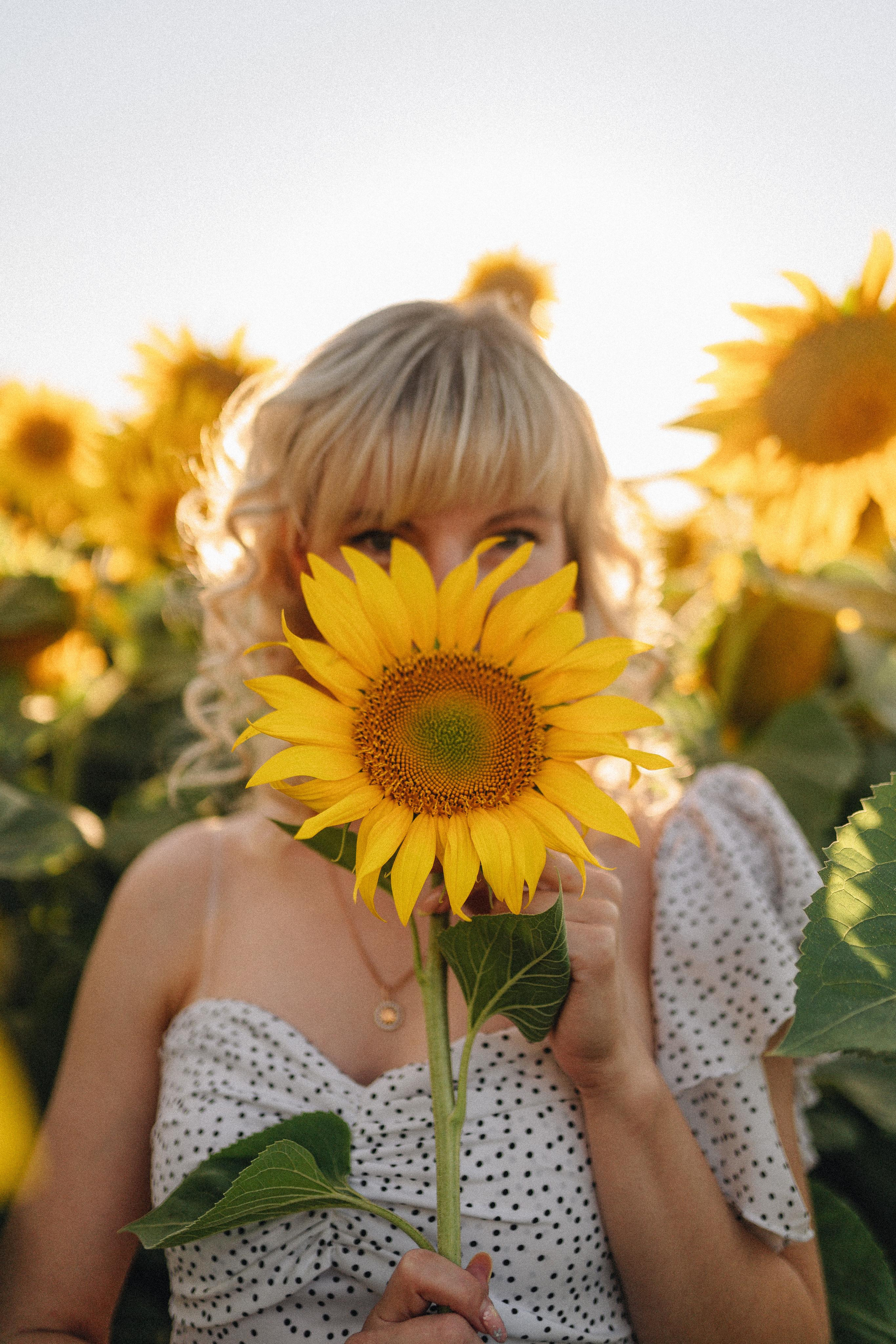 Анастасия | Съёмка в подсолнухах. Фотограф Карина Шмулёва. Воронеж и область