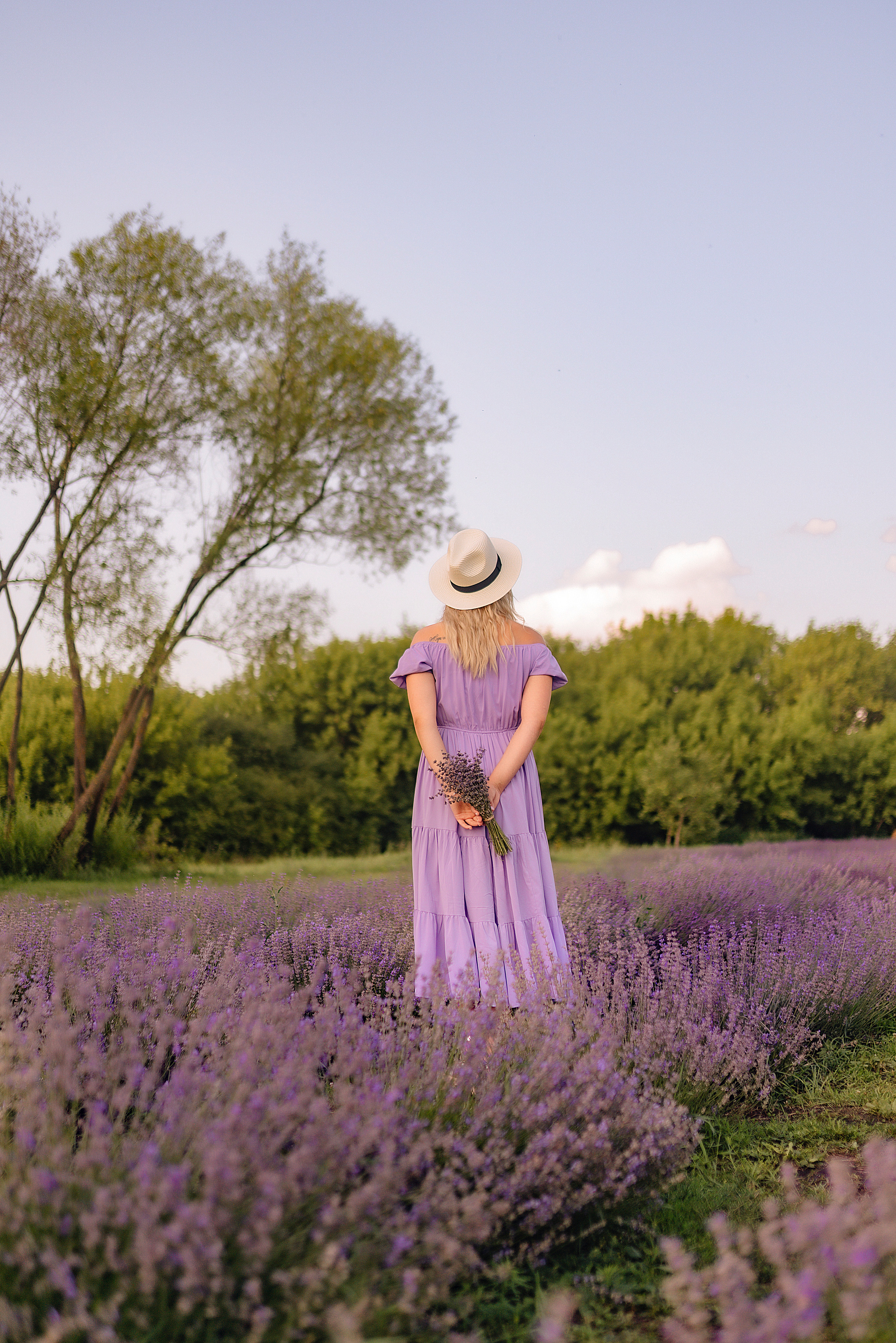Дарья | Лавандовое поле. Фотограф Карина Шмулёва. Воронеж и область