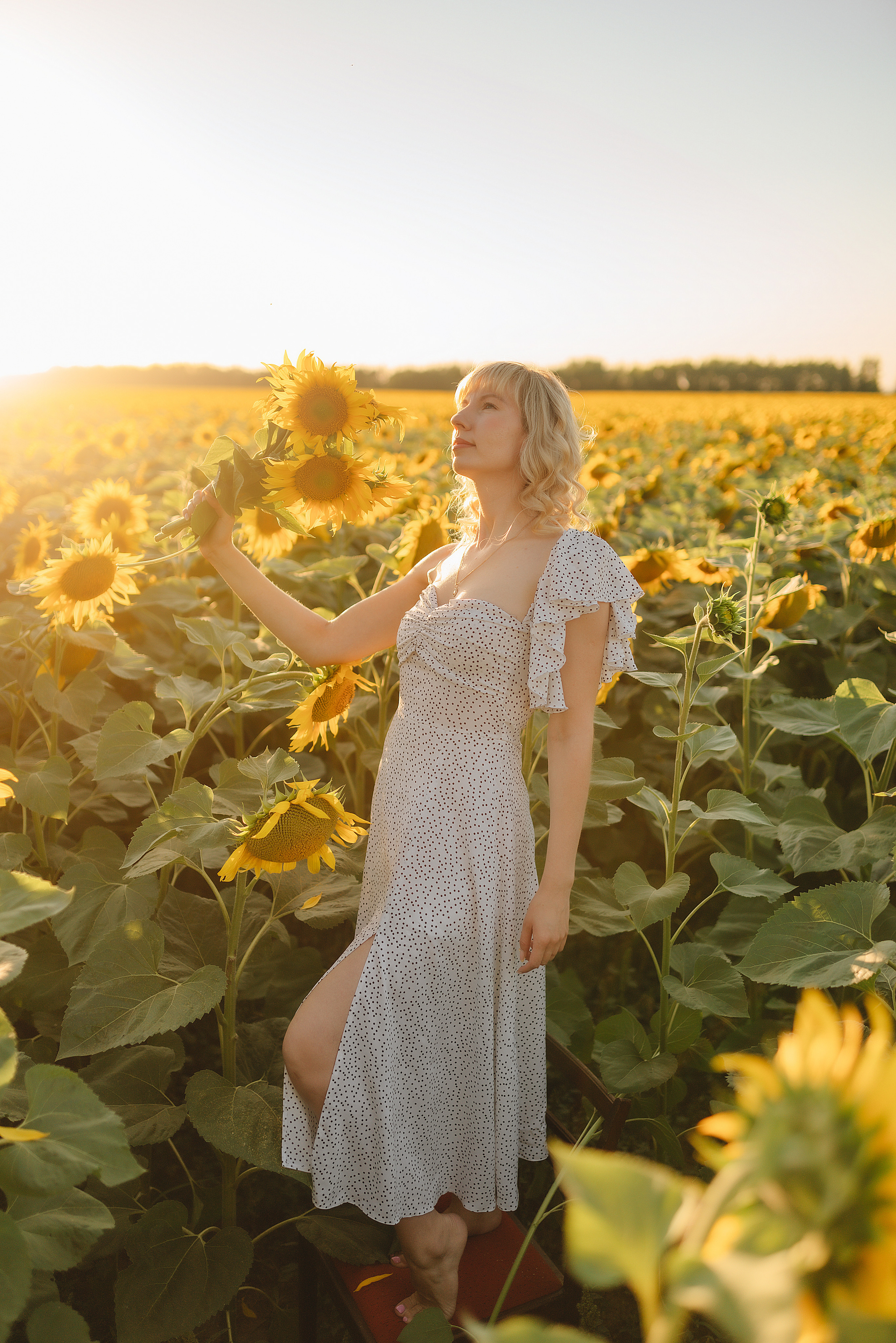 Анастасия | Съёмка в подсолнухах. Фотограф Карина Шмулёва. Воронеж и область