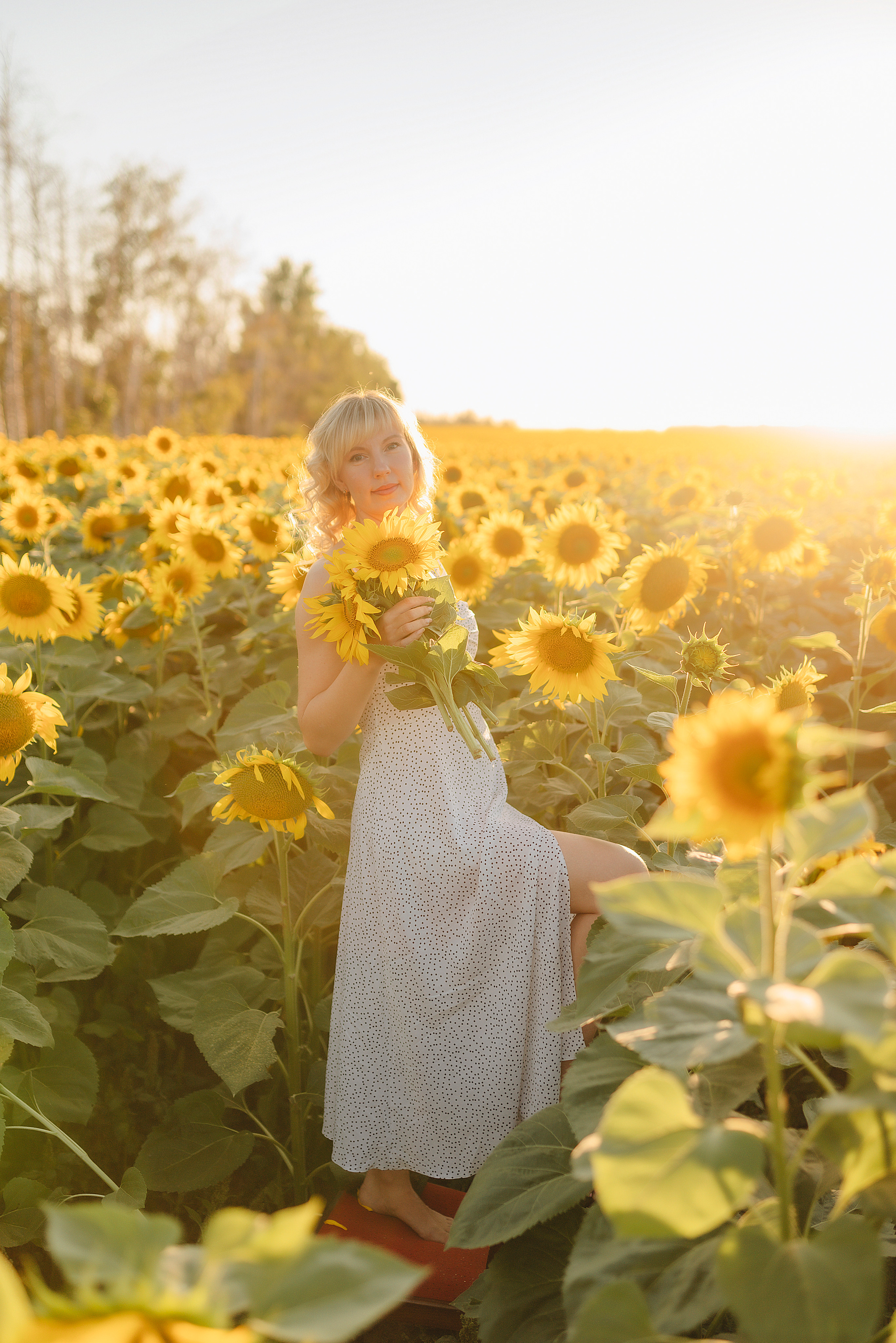 Анастасия | Съёмка в подсолнухах. Фотограф Карина Шмулёва. Воронеж и область