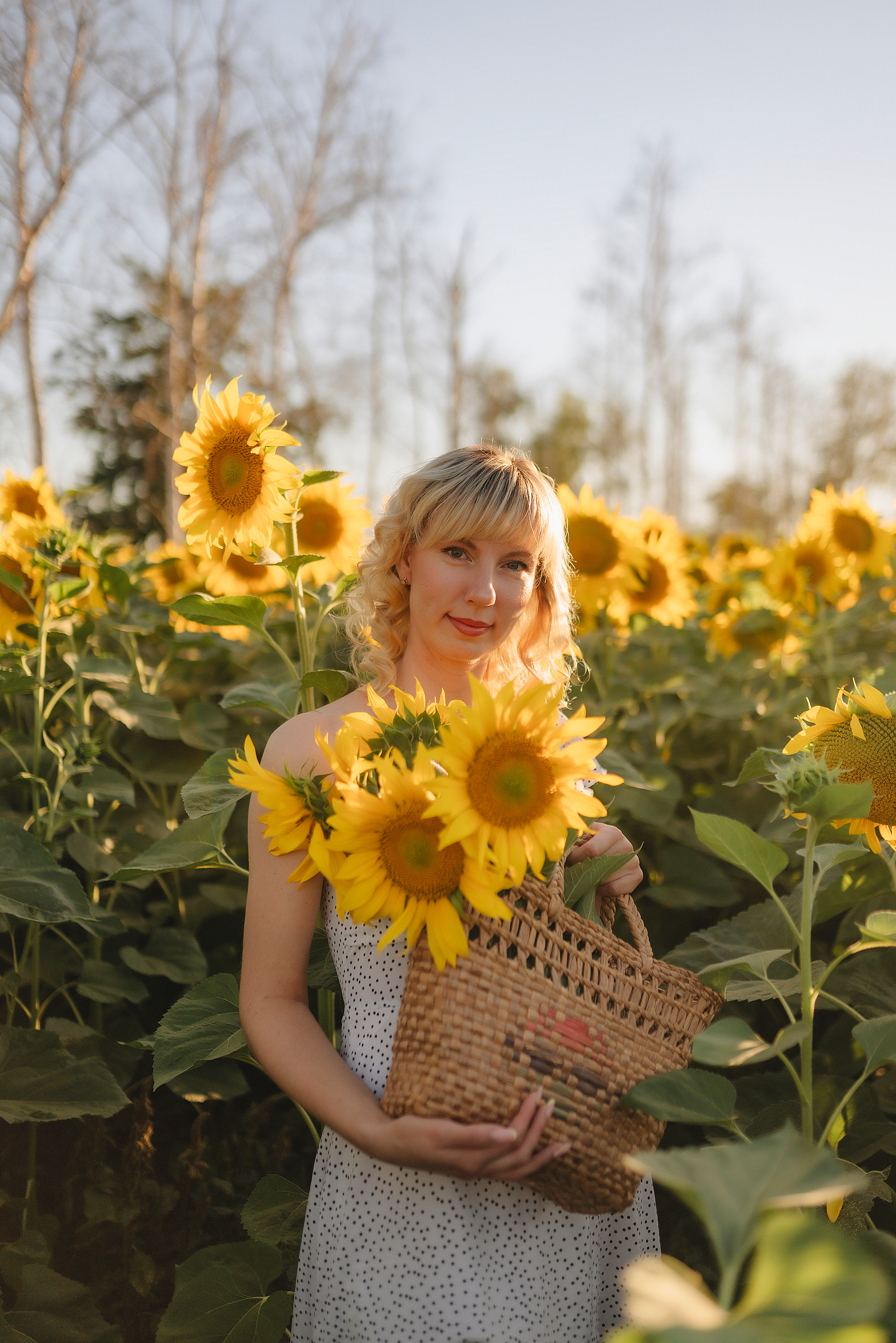 Анастасия | Съёмка в подсолнухах. Фотограф Карина Шмулёва. Воронеж и область