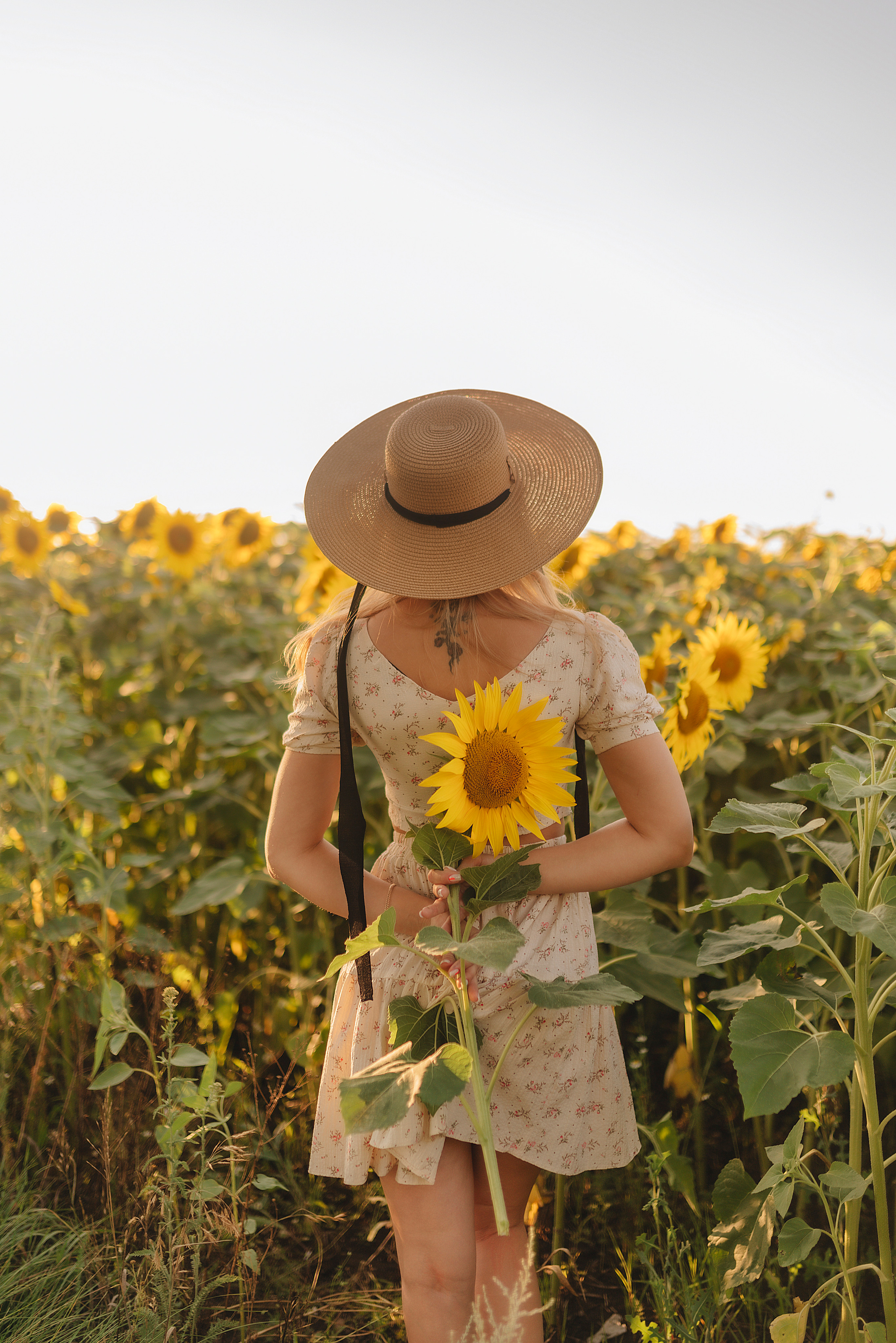 Олеся | Съемка с подсолнухами. Фотограф Карина Шмулёва. Воронеж и область