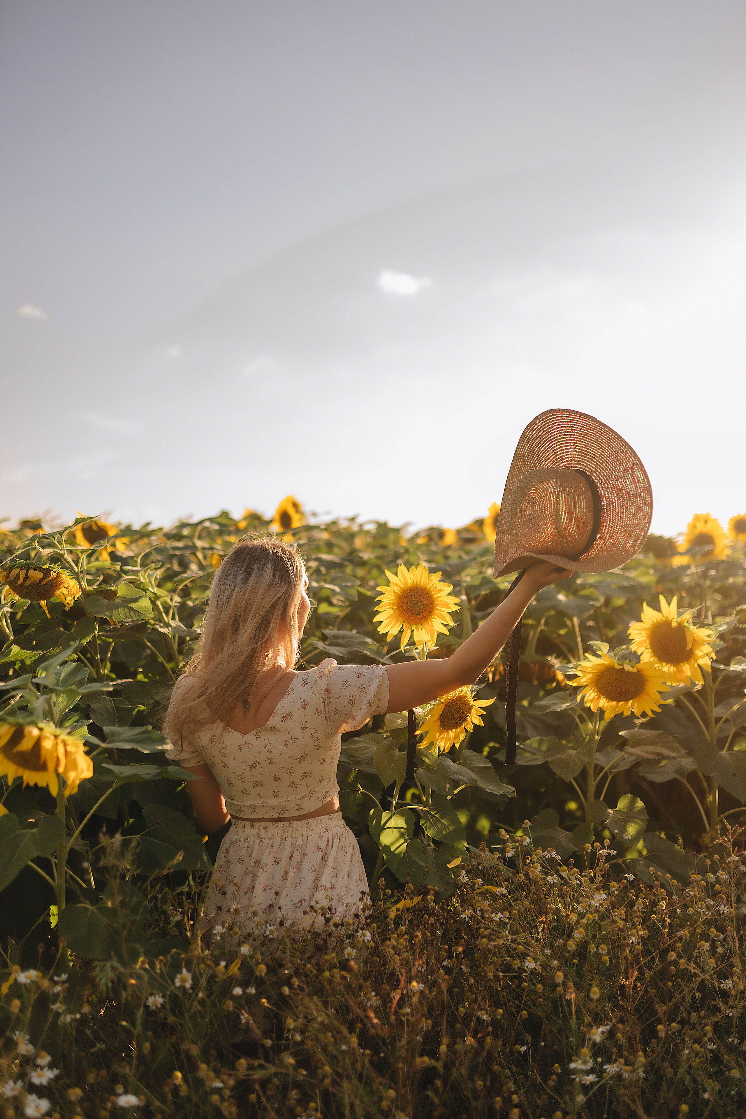Олеся | Съемка с подсолнухами. Фотограф Карина Шмулёва. Воронеж и область