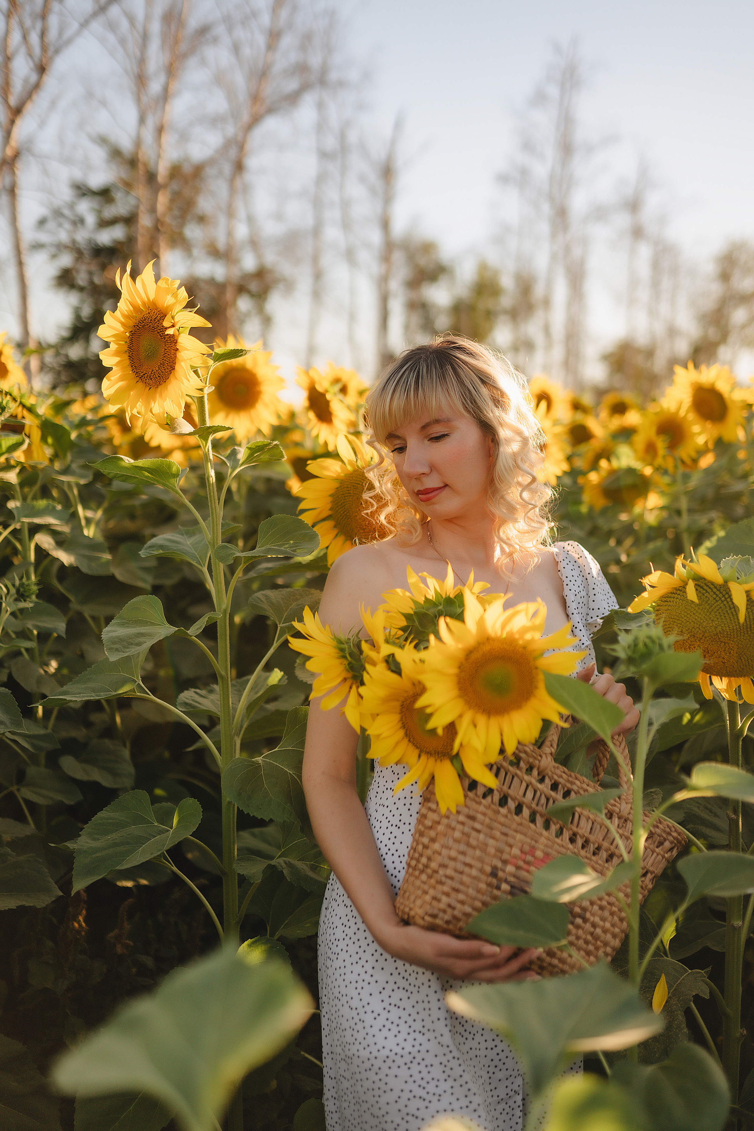 Анастасия | Съёмка в подсолнухах. Фотограф Карина Шмулёва. Воронеж и область