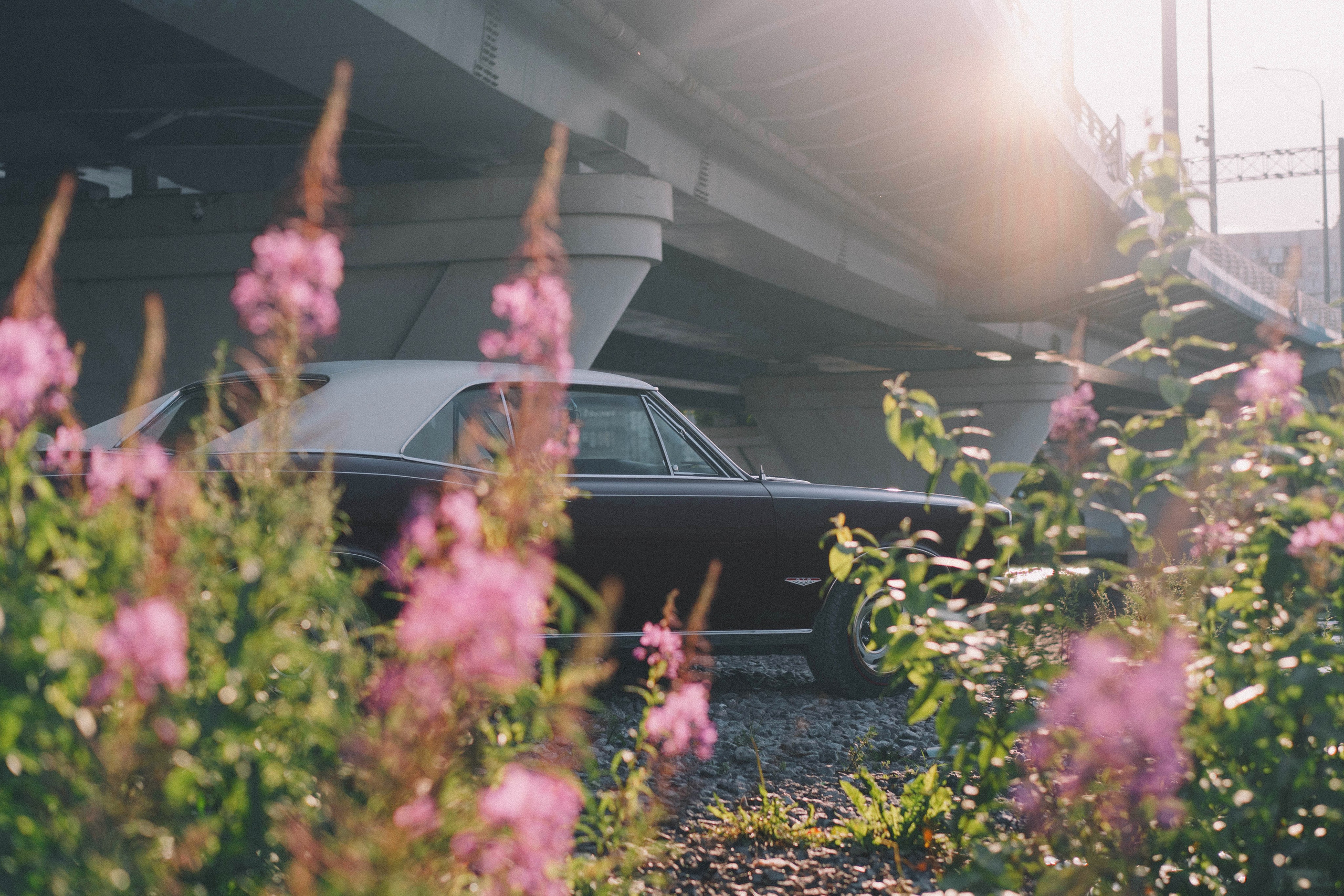 Pontiac GTO. Автомобильный фотограф Антон Цырулев