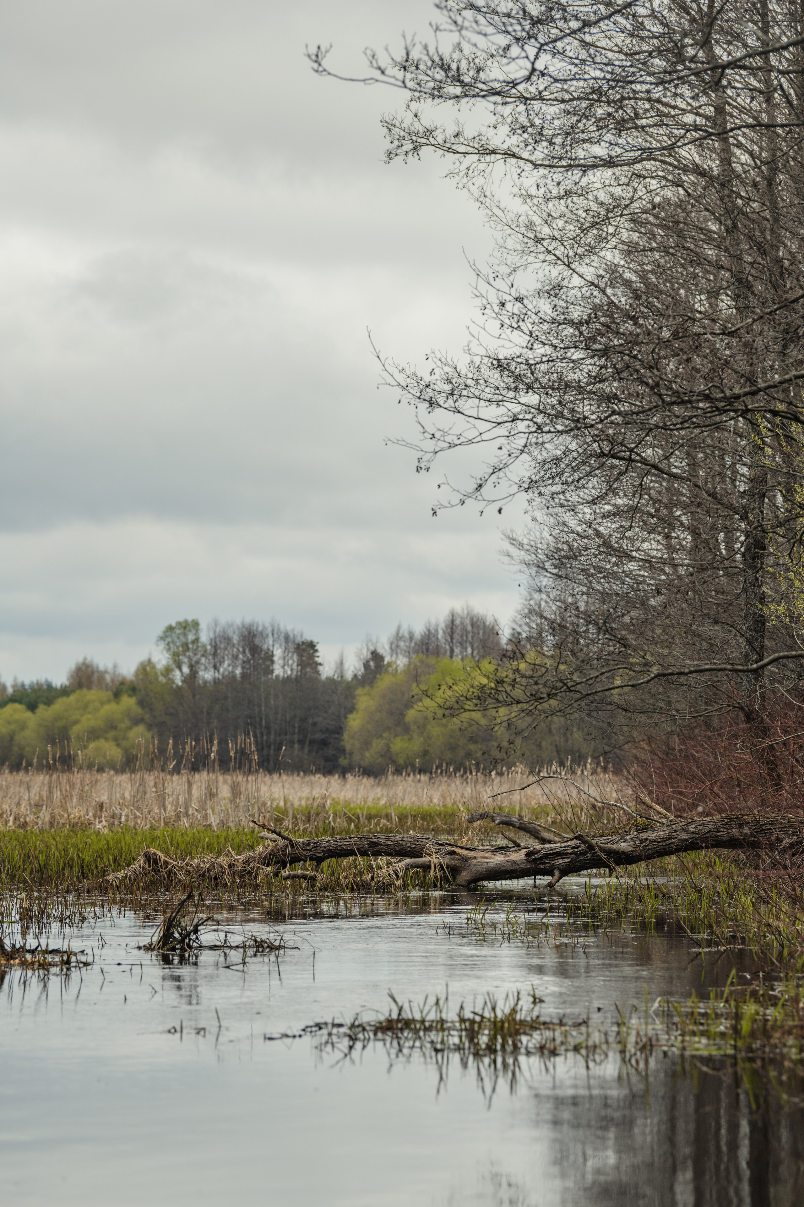 Разведка нового маршрута. Репортажный фотограф Владимир Беляй