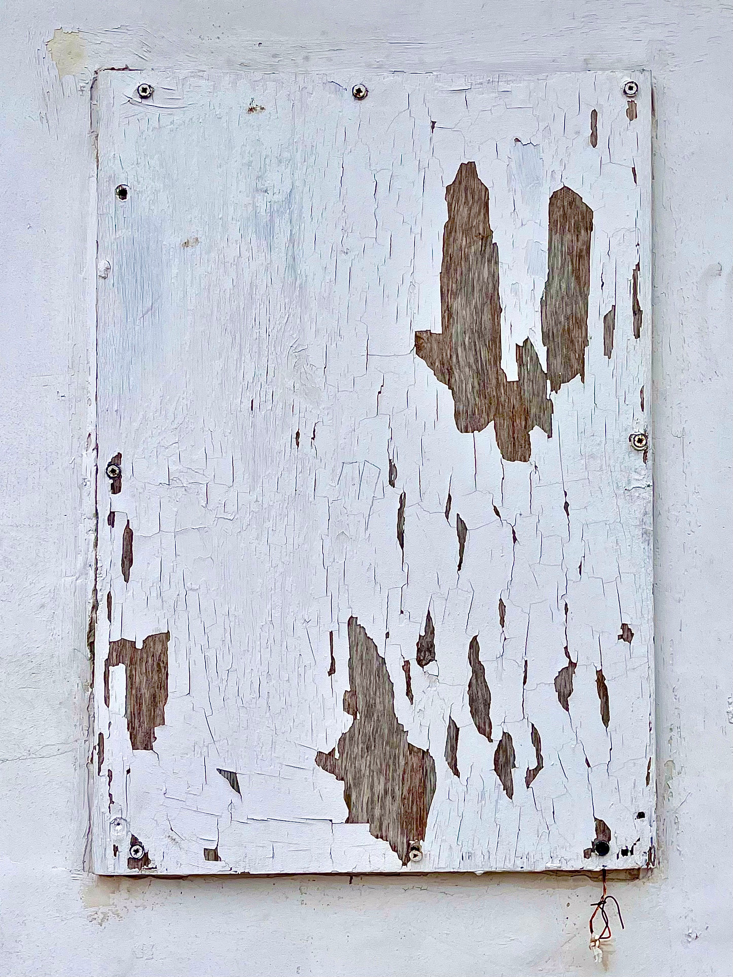 Рязань, 2025. Портретный фотограф в Москве Евгения Яковенко