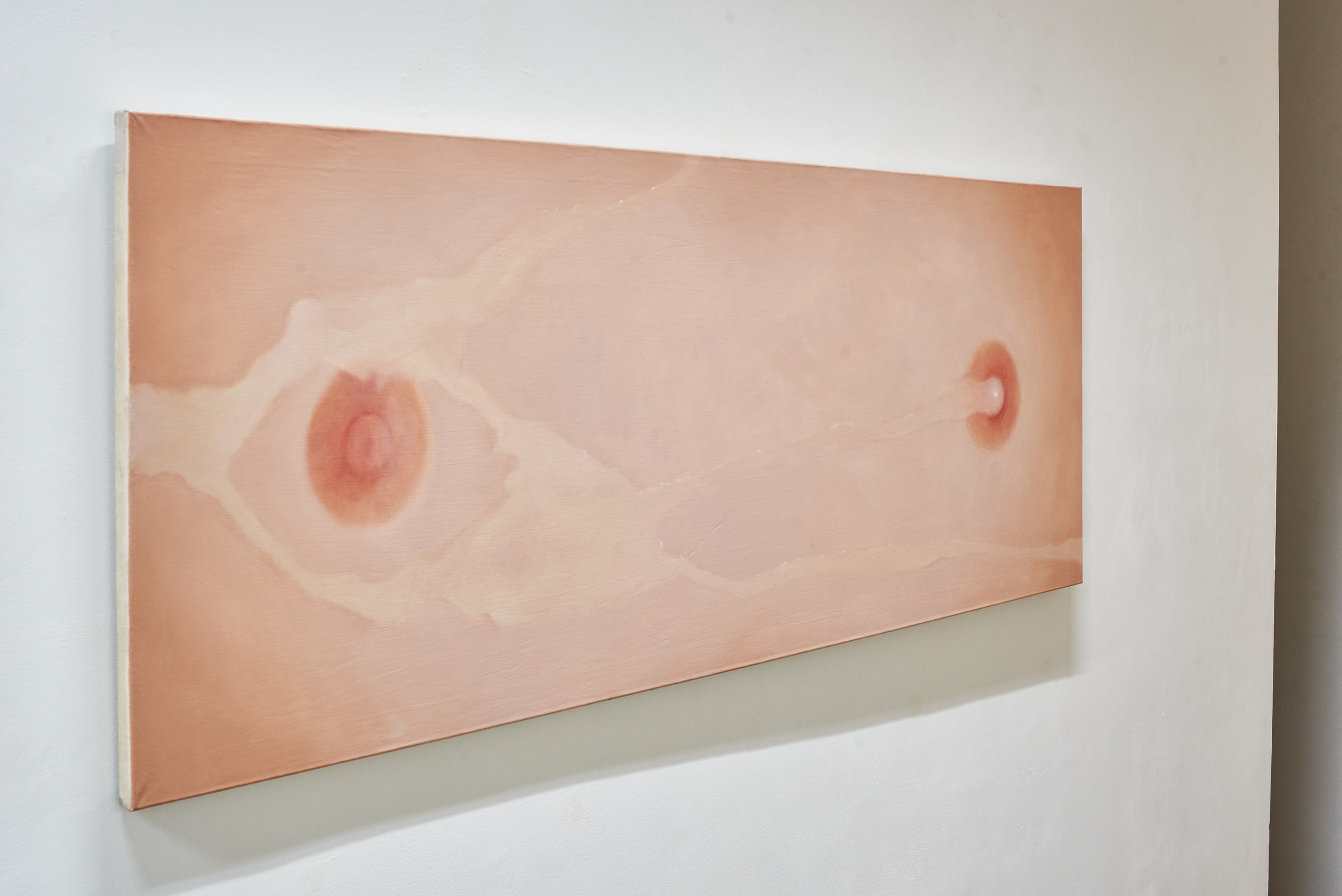 THE ALIENATED BODY. Ilmira Bolotyan — Interdisciplinary Artist and Curator