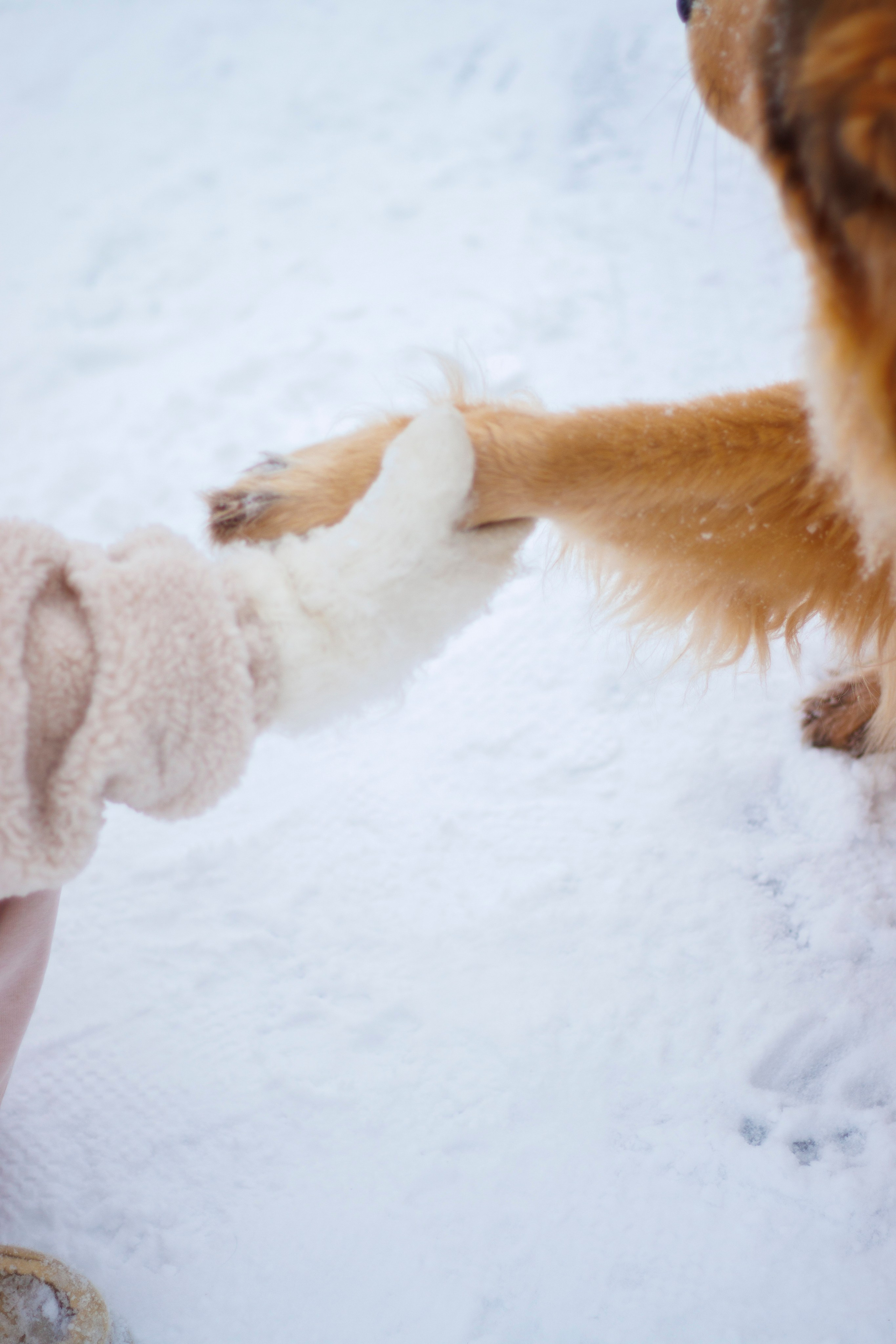 Детская съёмка. Семейный и детский фотограф в Туле