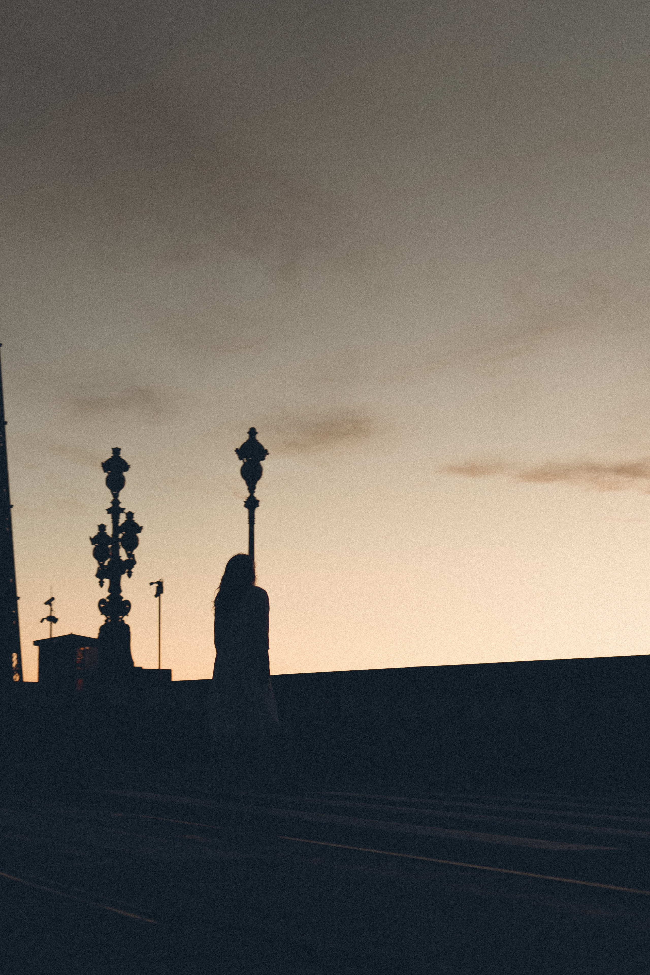 РАССВЕТ С РАЗВОДНЫМИ МОСТАМИ. Профессиональный фотограф, Санкт-Петербург — Виктория Богомолова